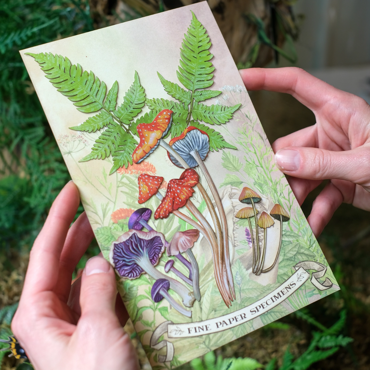 •FUNGAL• mushroom fine paper specimens