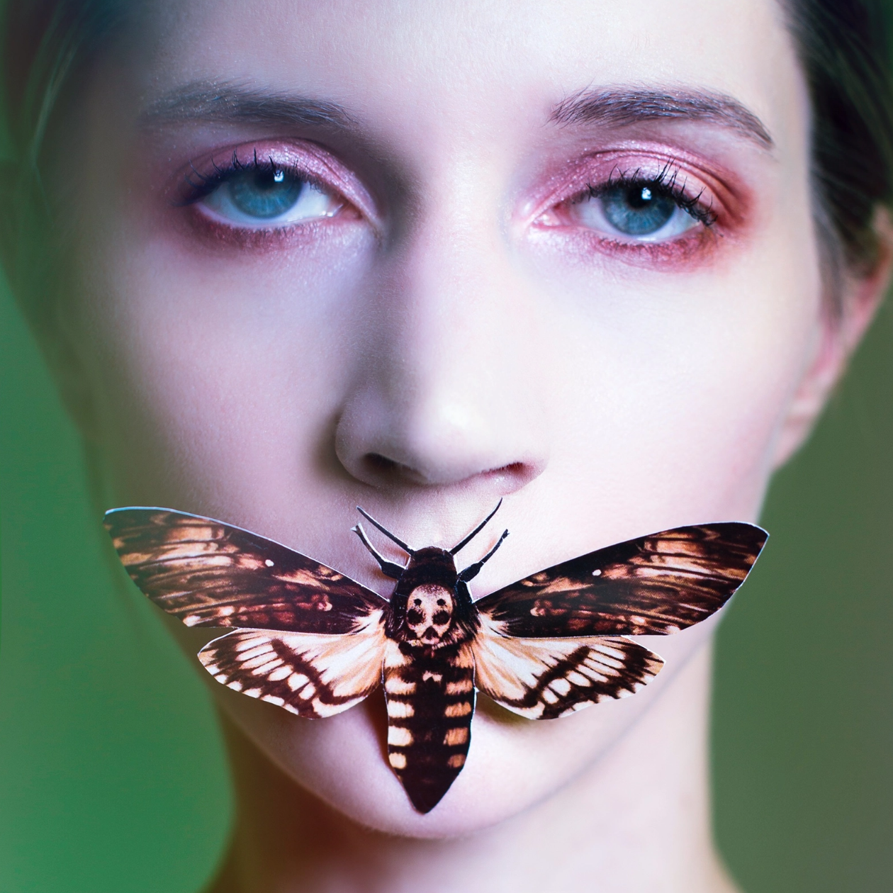 •OWL• moth + butterfly fine paper specimens