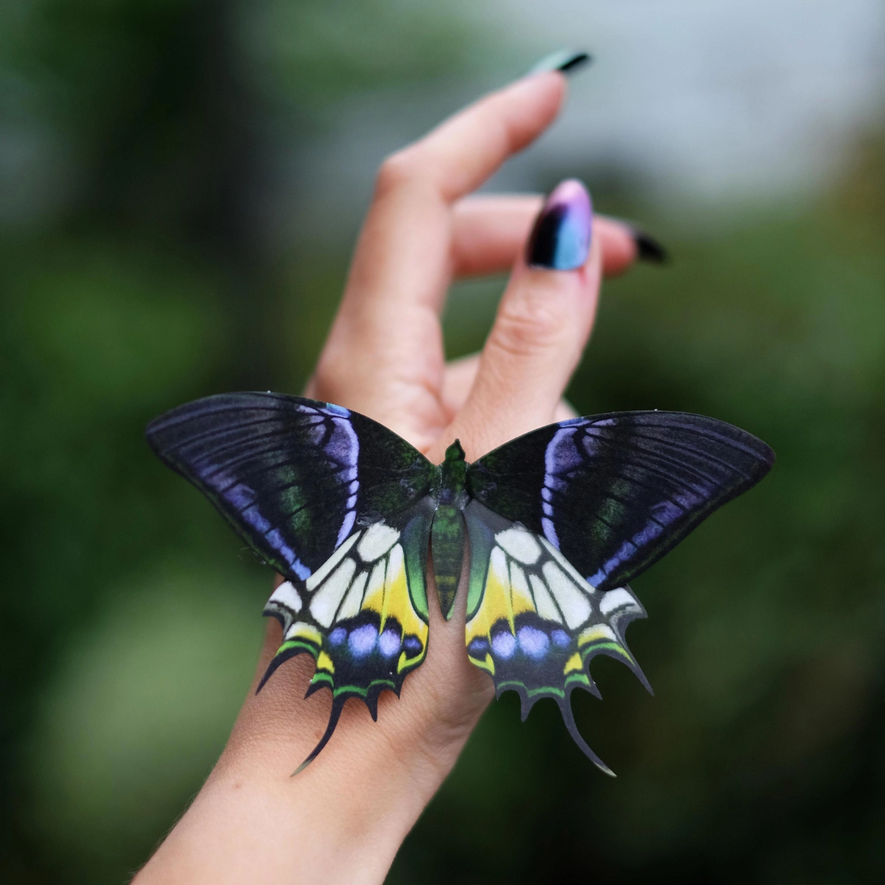 •MALACHITE• butterfly fine paper specimens