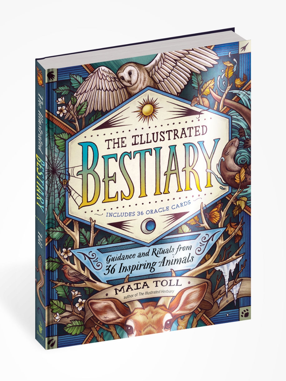 •THE ILLUSTRATED BESTIARY• hardcover book