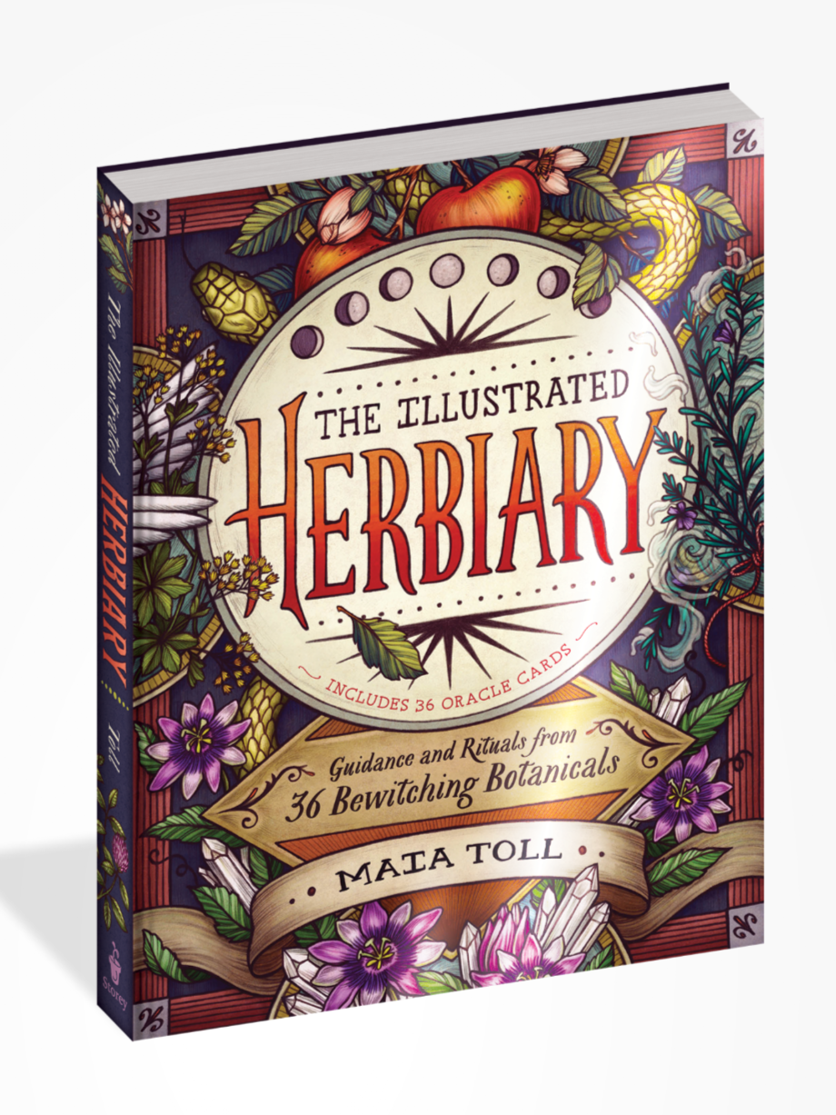 •THE ILLUSTRATED HERBIARY• hardcover book