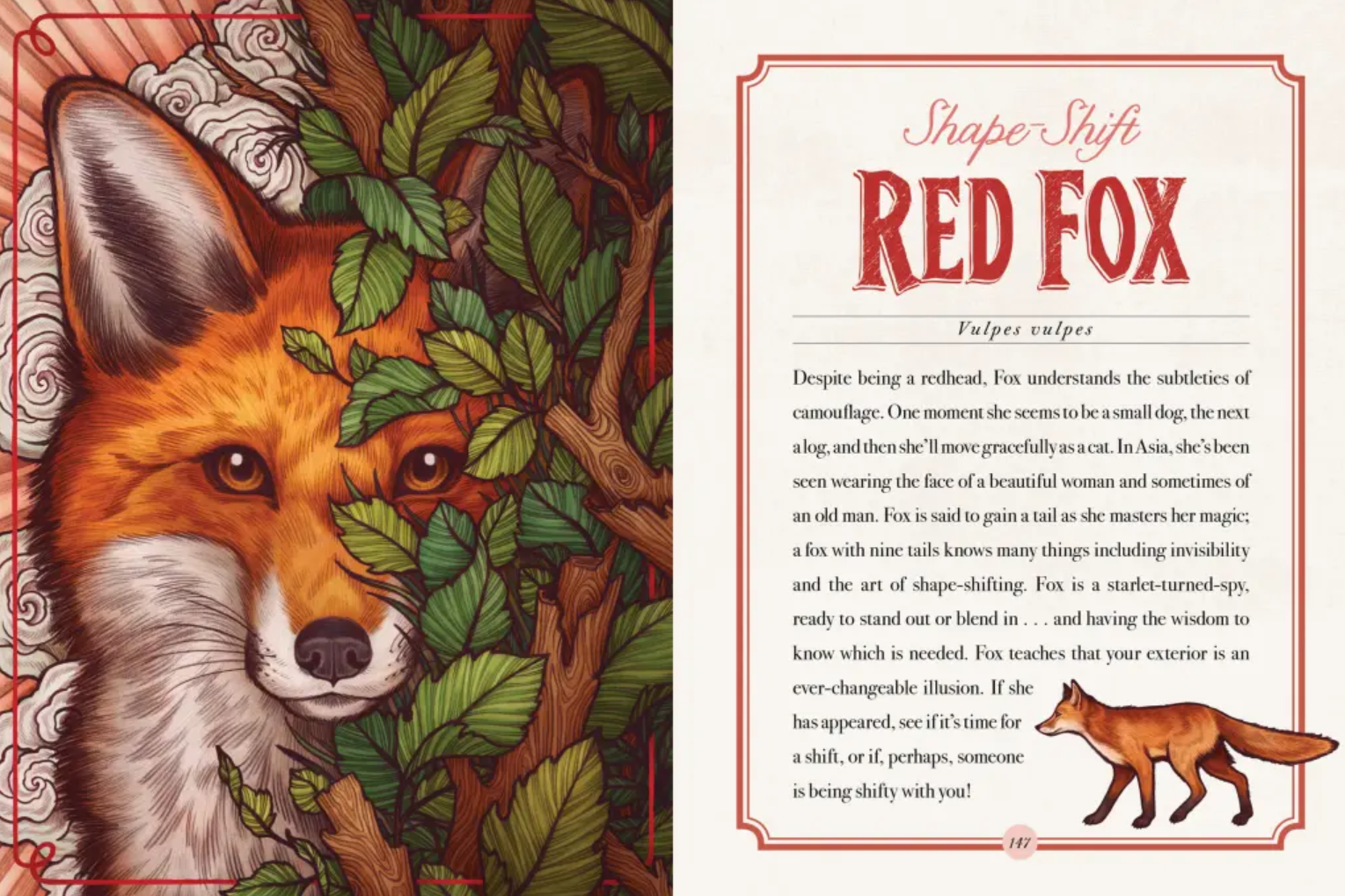 •THE ILLUSTRATED BESTIARY• hardcover book
