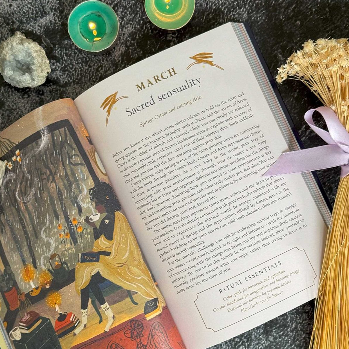 •SEASONS OF THE WITCH• 2026 planner