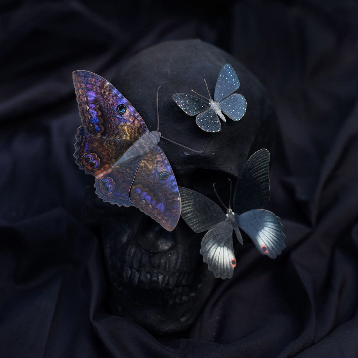 •SPELLBOUND• moth + butterfly fine paper specimens