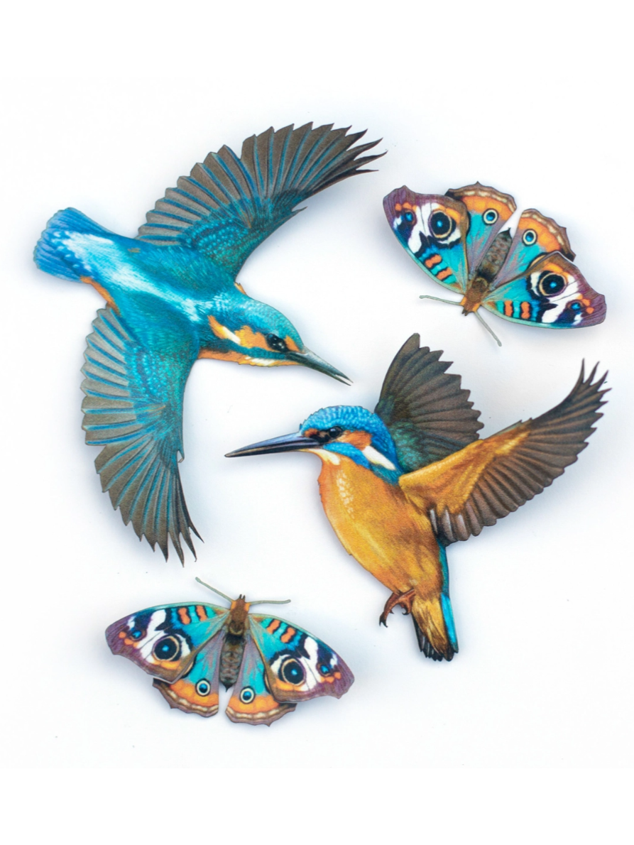•FLIGHT• kingfisher + moth fine paper specimens
