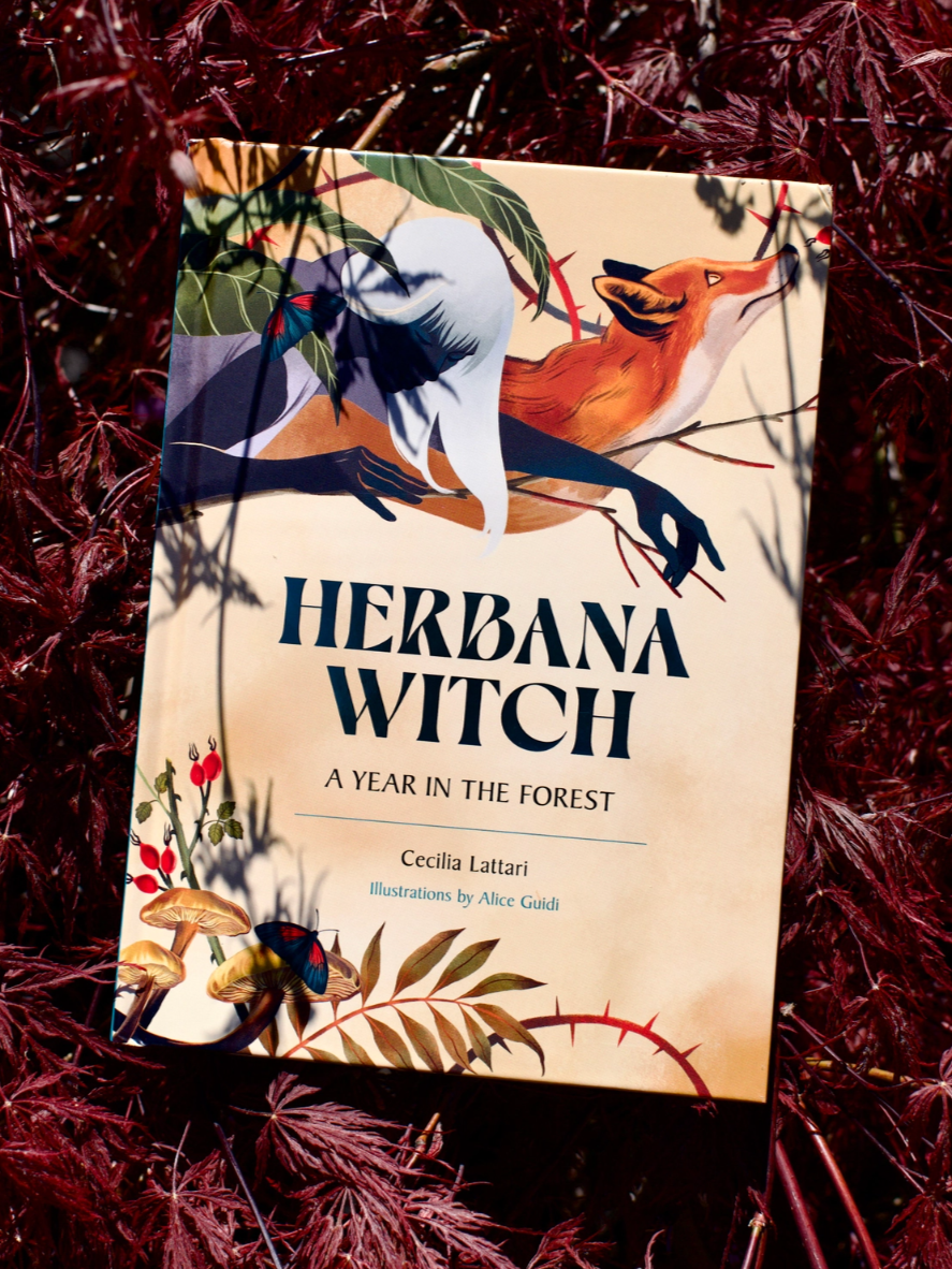 •HERBANA WITCH• hardcover book