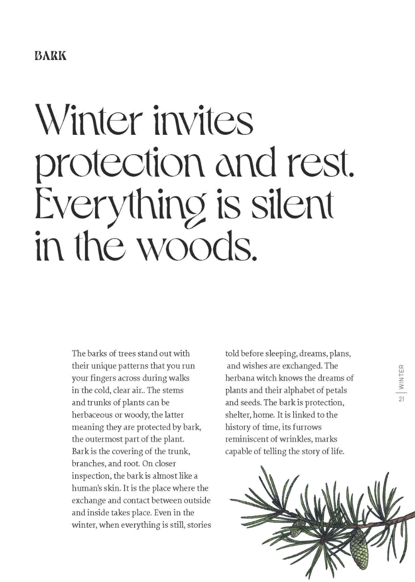 •HERBANA WITCH• hardcover book