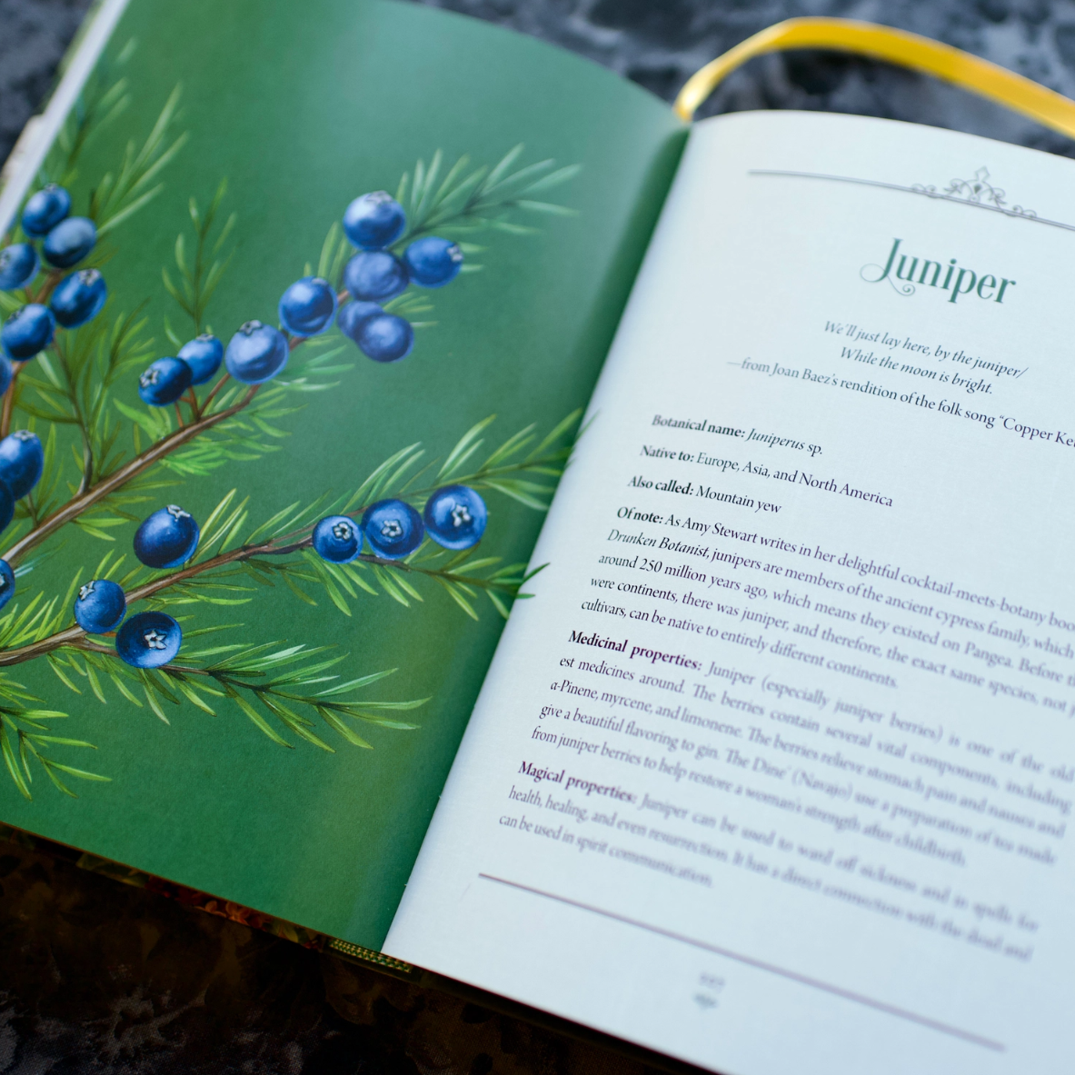 •ENCHANTED PLANTS• hardcover book