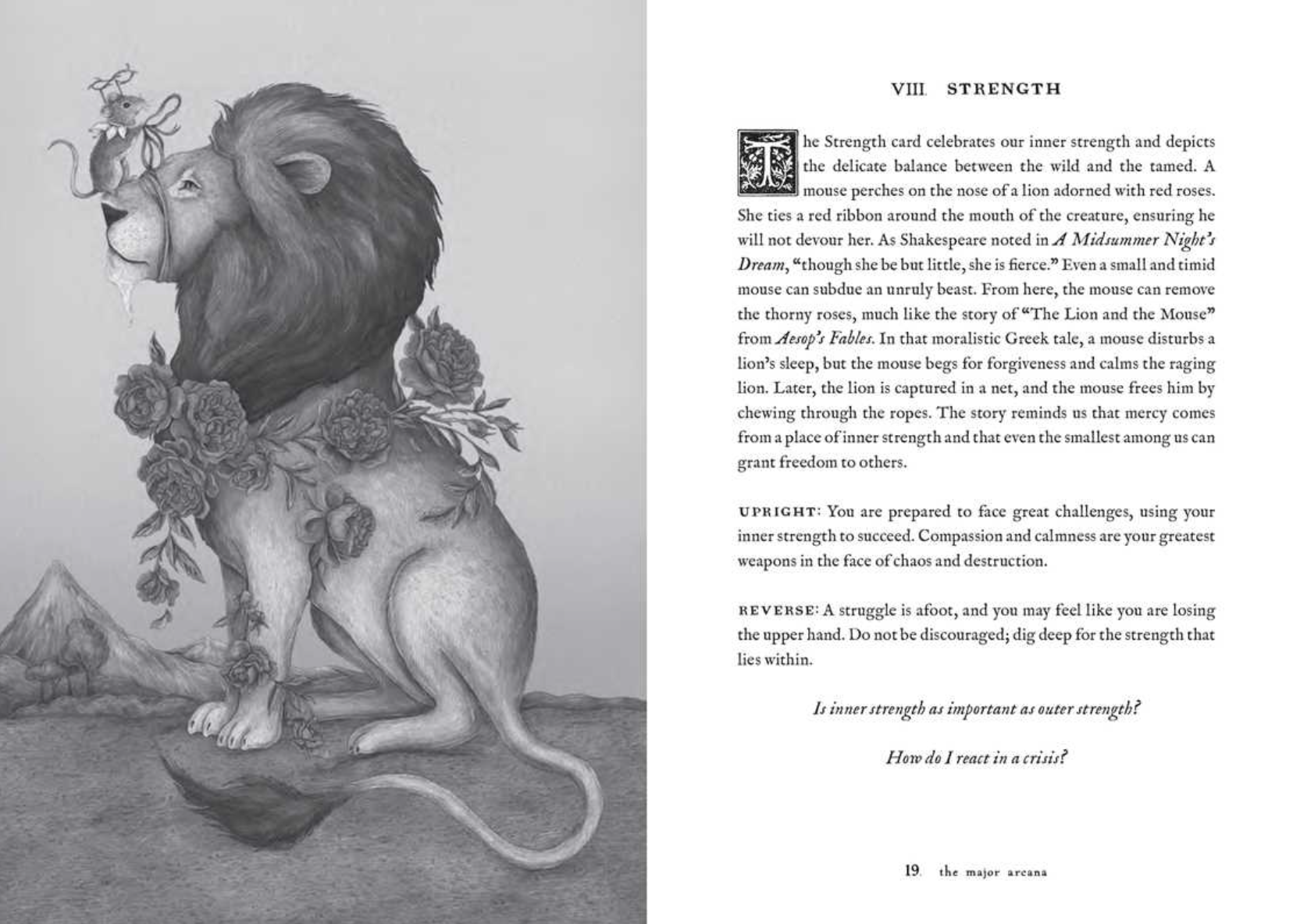 •WOODLAND WARDENS• tarot deck