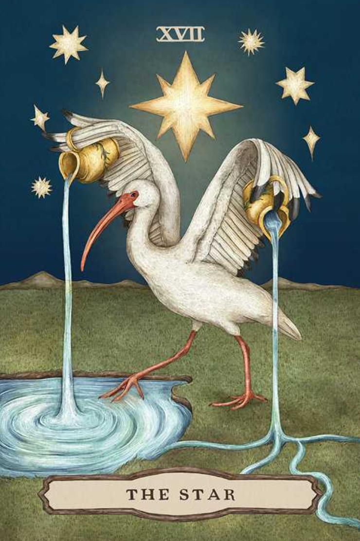 •WOODLAND WARDENS• tarot deck