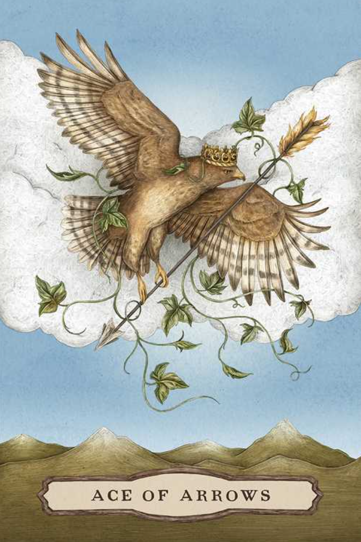 •WOODLAND WARDENS• tarot deck