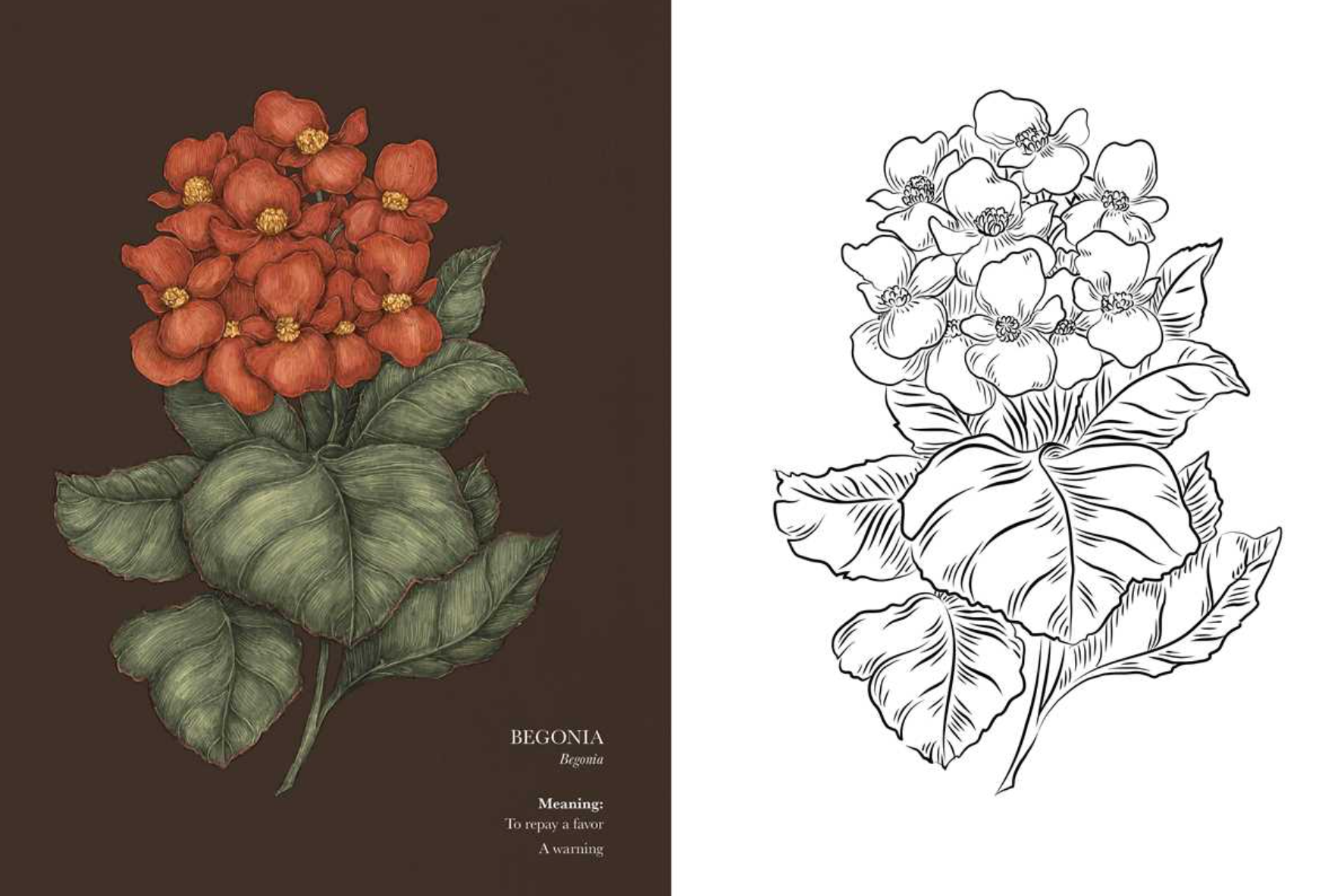 •FLORIOGRAPHY• coloring book