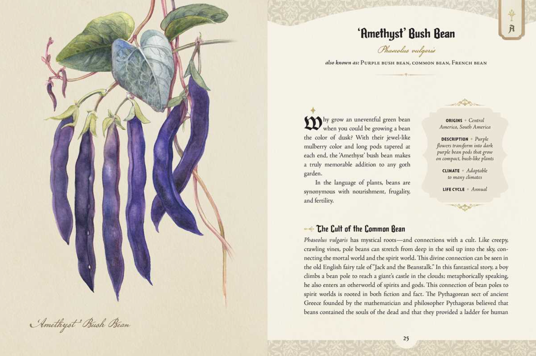 •GOTH GARDEN• hardcover book