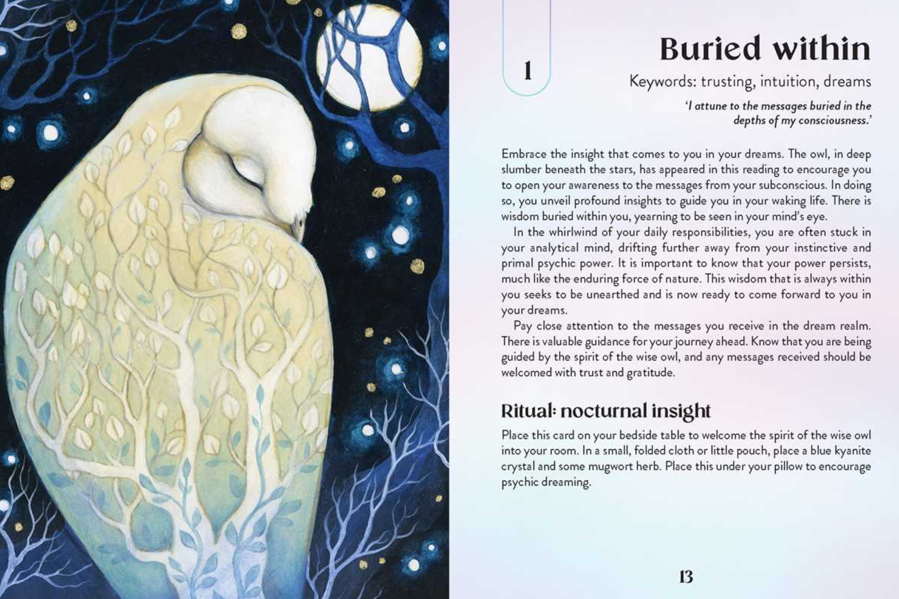 •ENCHANTED EARTH• oracle deck