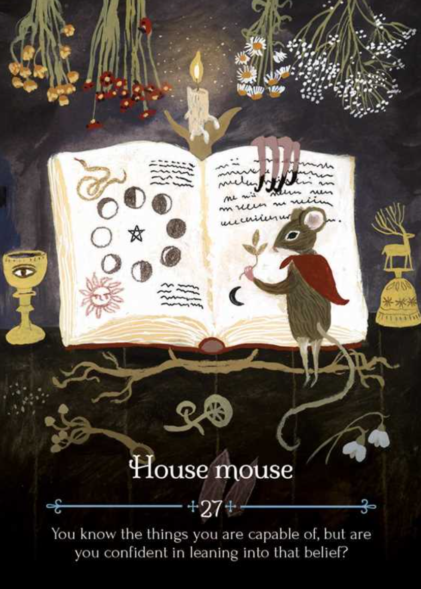 •SEASONS OF THE WITCH• imbolc oracle deck