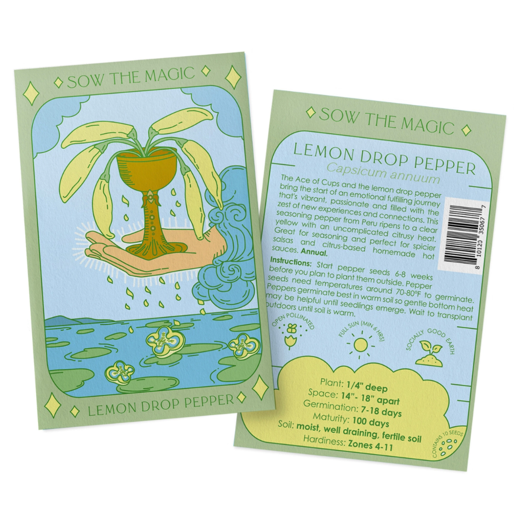 •SEEDS - FRUITS & VEGGIES• tarot inspired garden (various options)