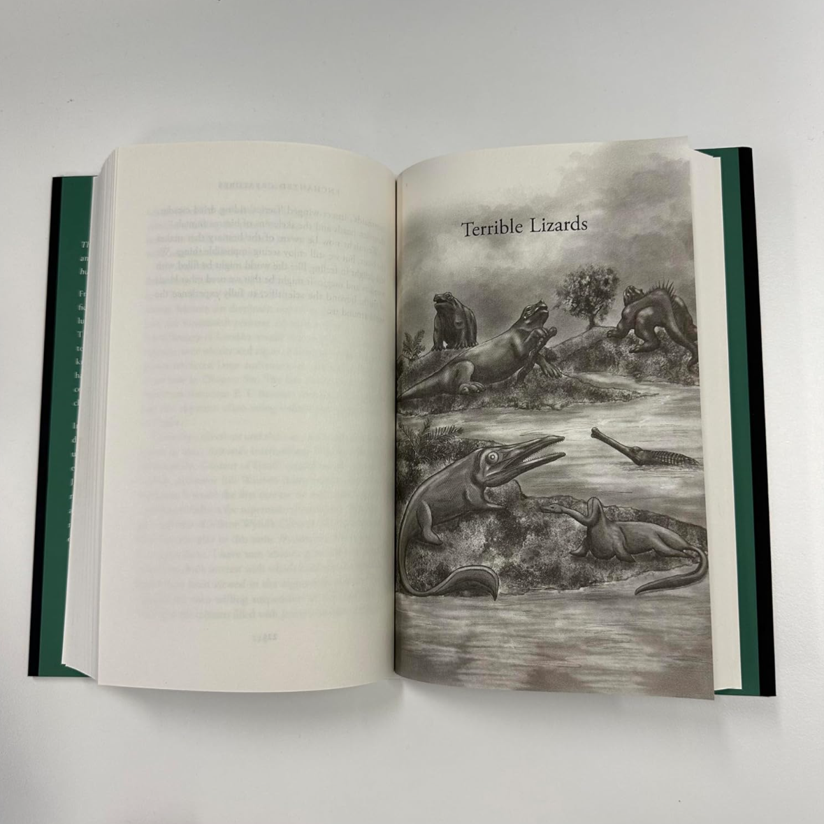 •ENCHANTED CREATURES• hardcover book