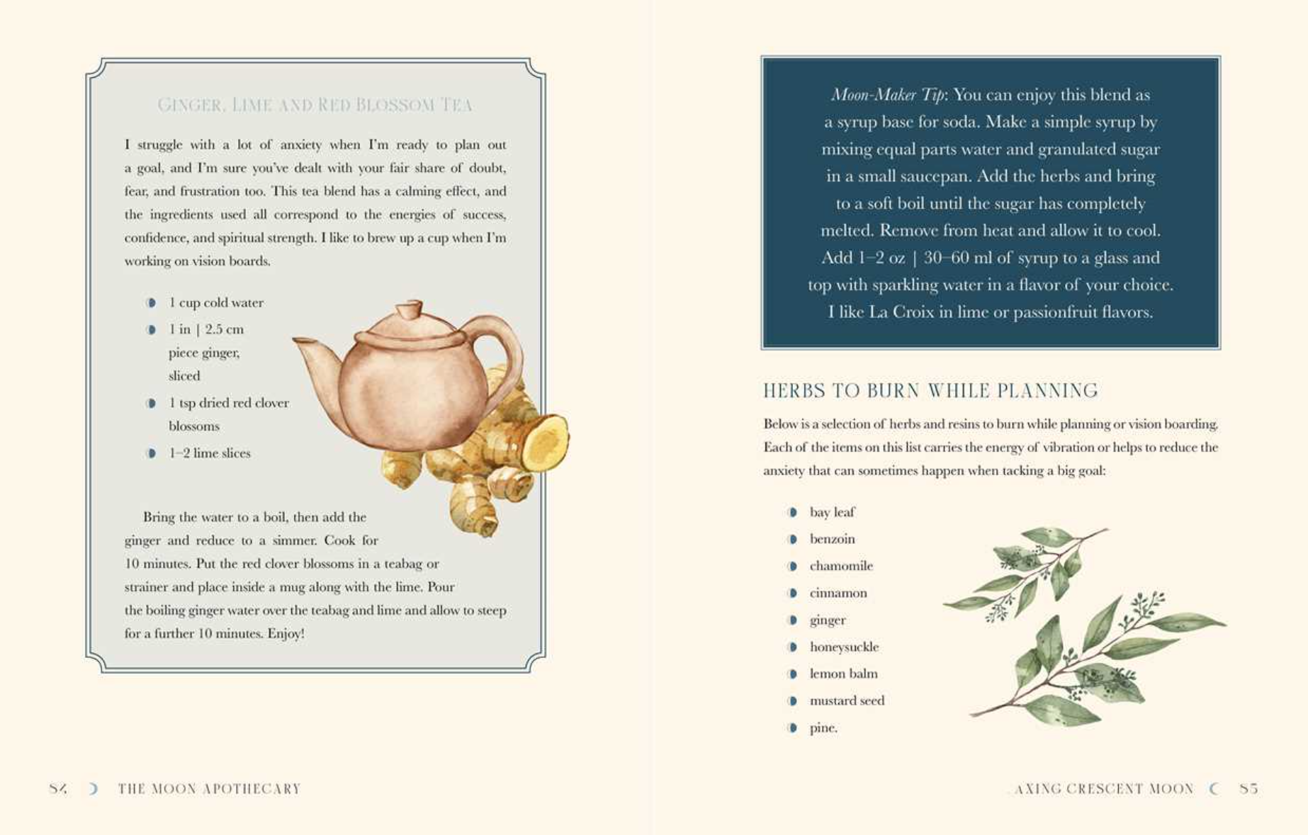 •MOON APOTHECARY• hardcover book