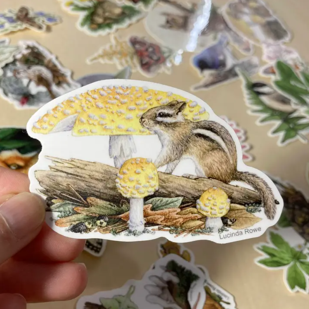 •BIRDS & CRITTERS• vinyl stickers