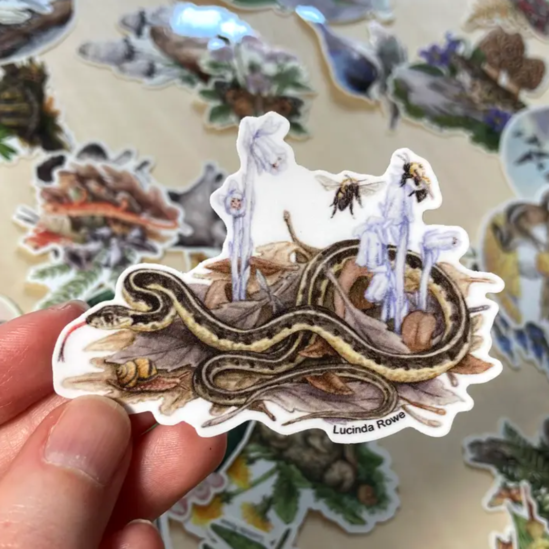 •REPTILES & AMPHIBIANS• vinyl stickers