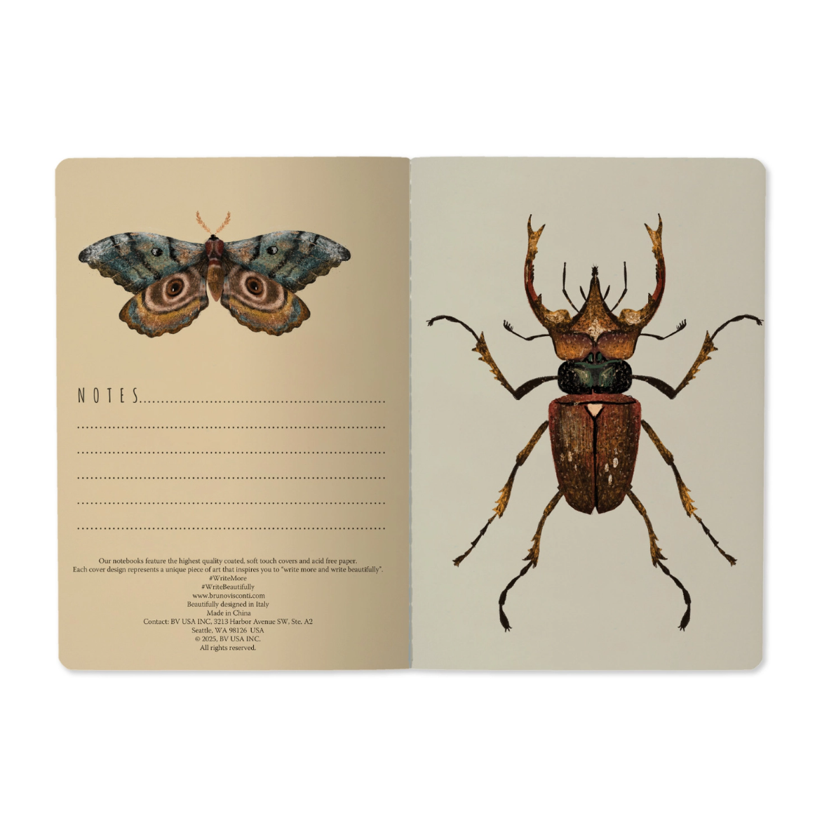•ENTOMOLOGY• lined notebook