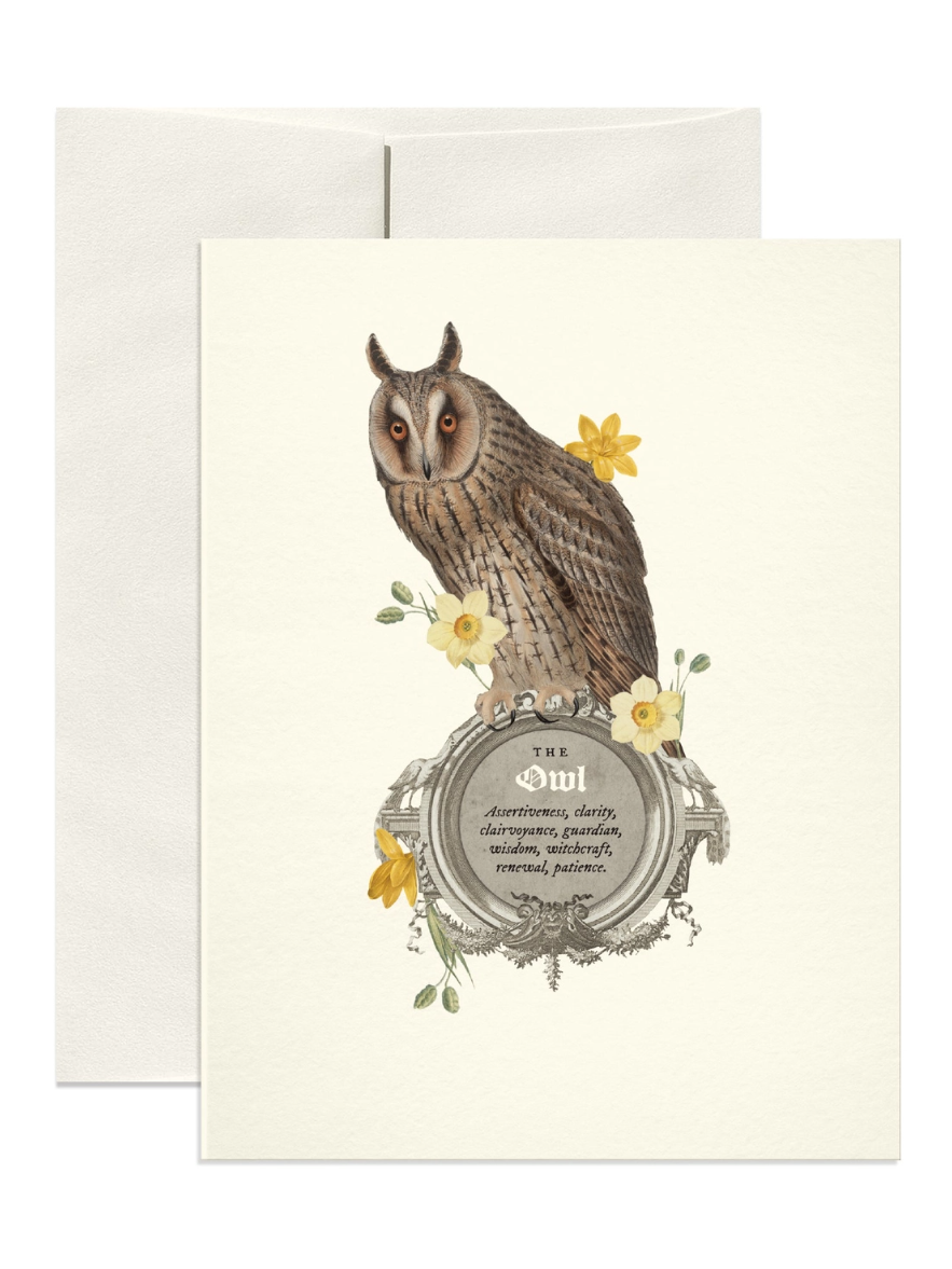 •THE OWL• greeting card