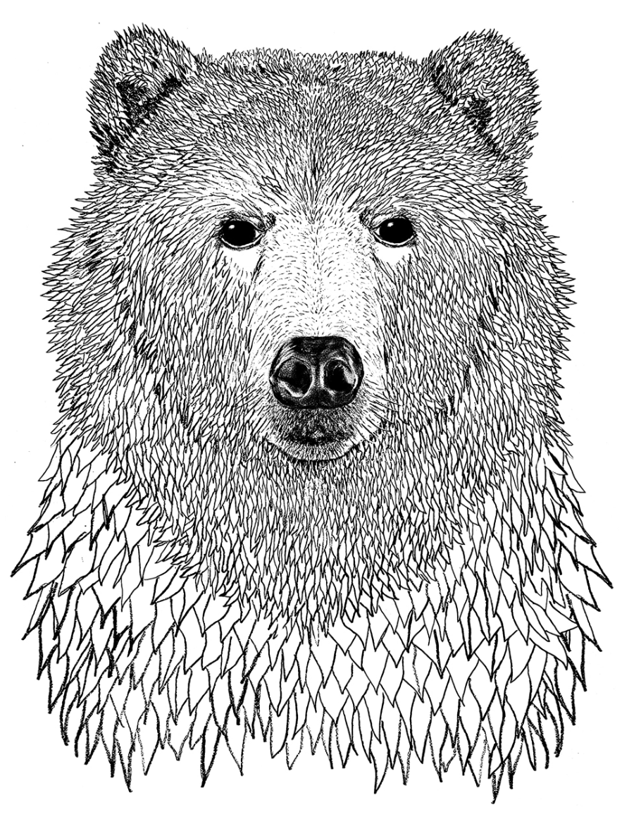 •BEAR• cotton muscle tee (USA)