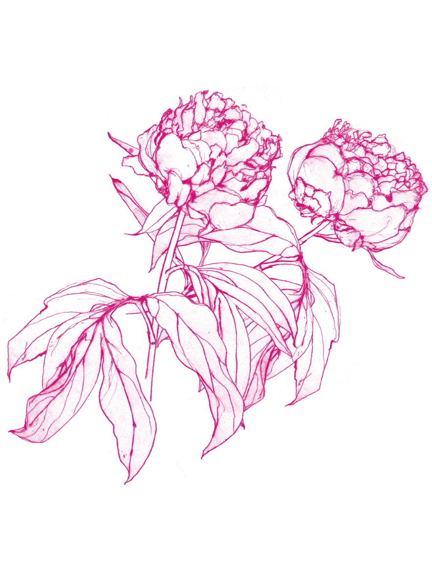 •PEONIES• cotton muscle tee (USA)