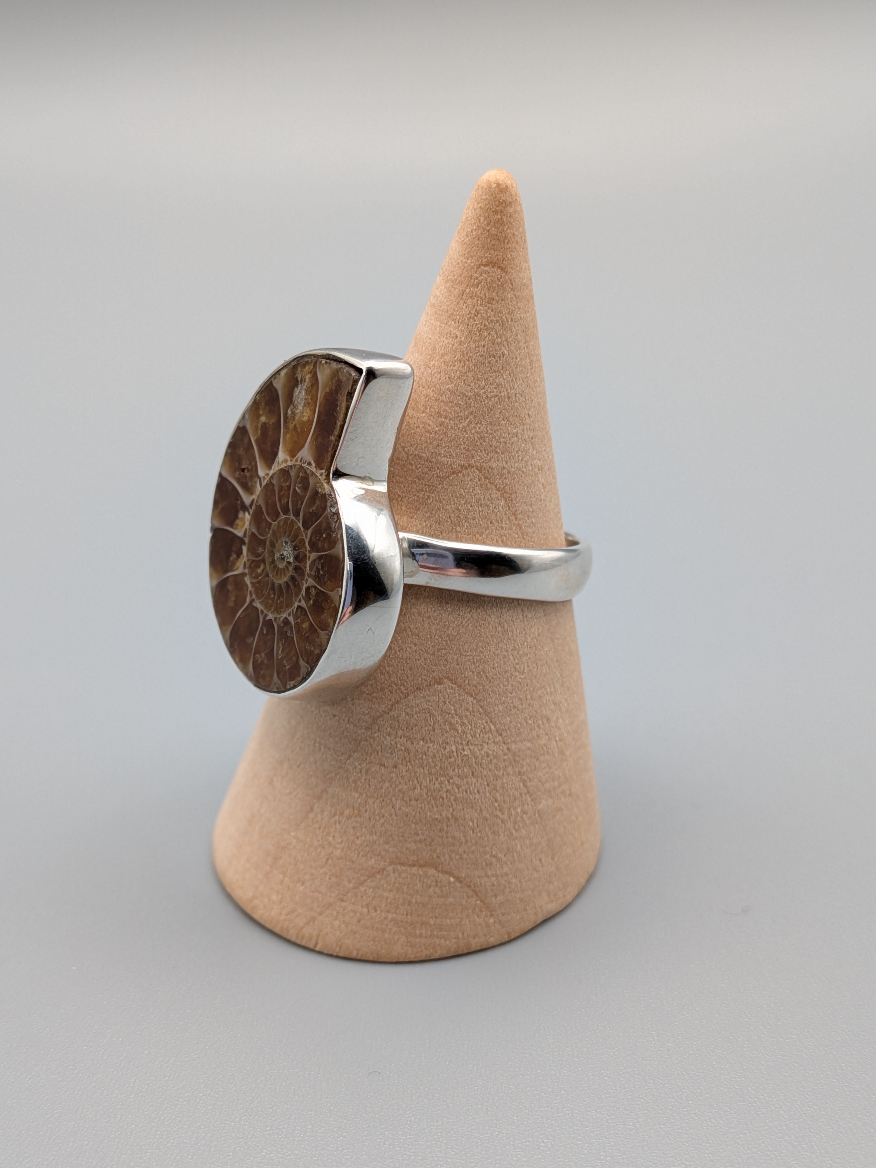 •AMMONITE• simple bezel silver ring (size 9)