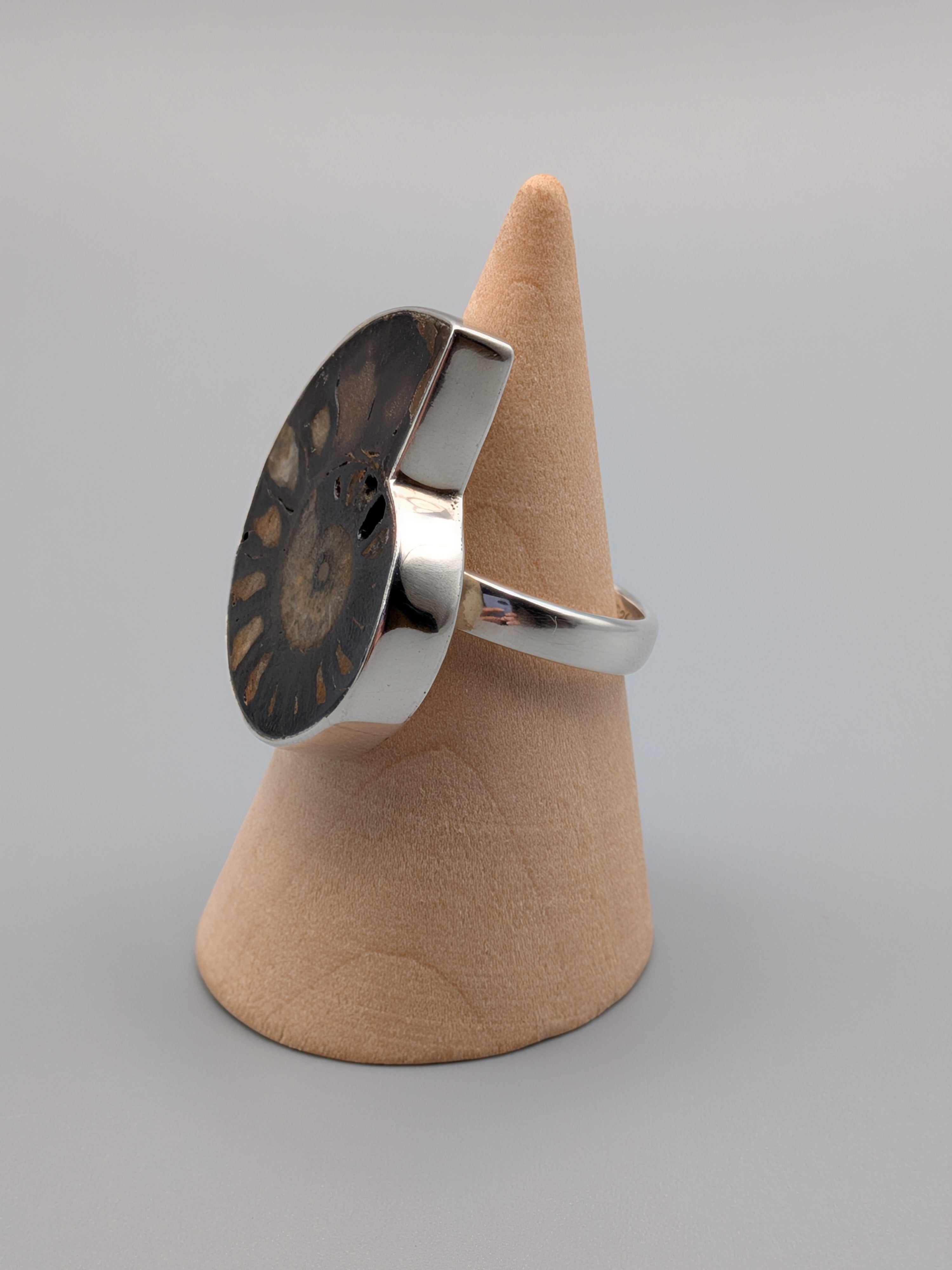 •AMMONITE• simple bezel silver ring (size 8.25)