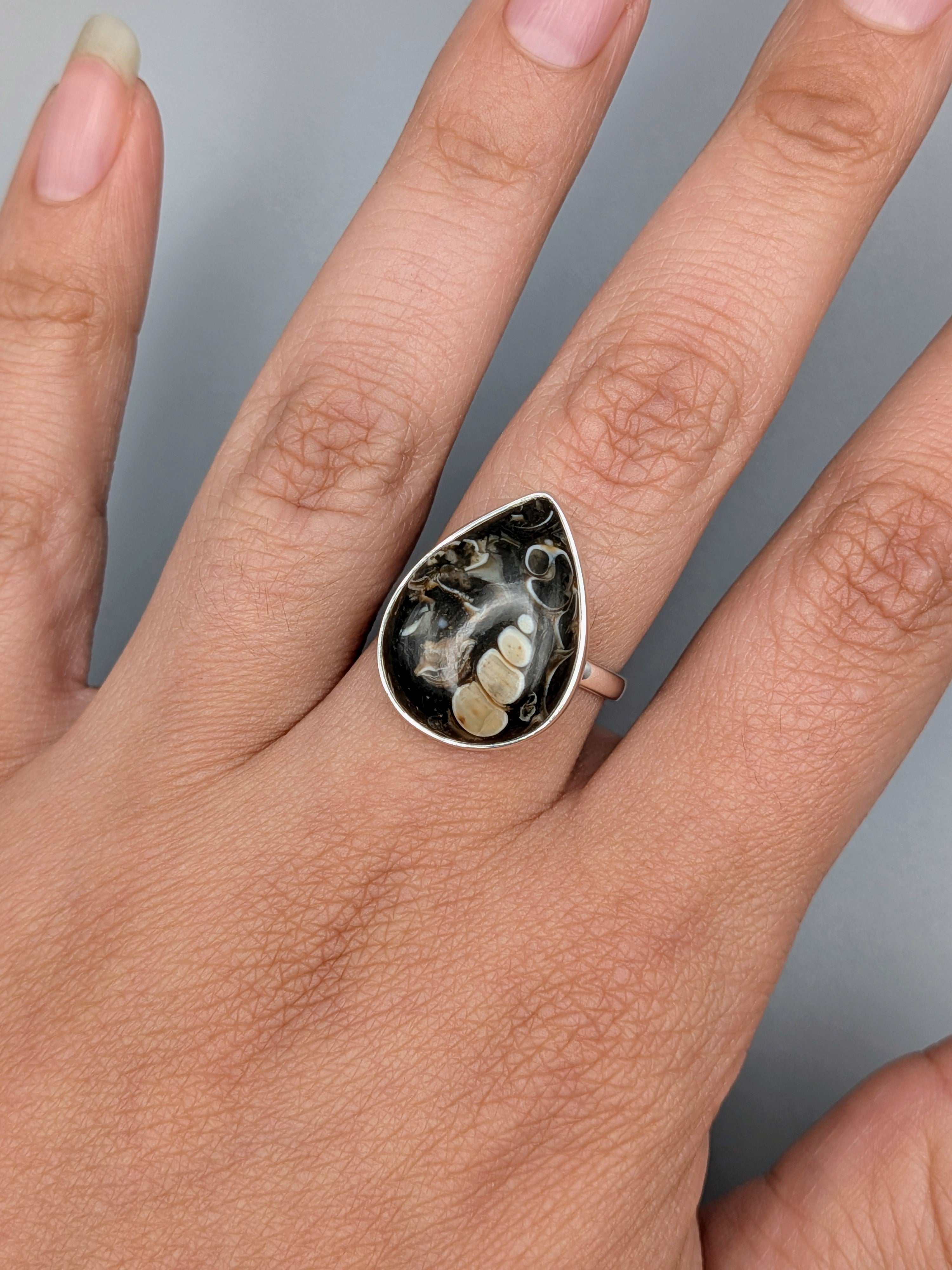 •TURRITELLA FOSSIL - TEAR• simple bezel silver ring (size 8)