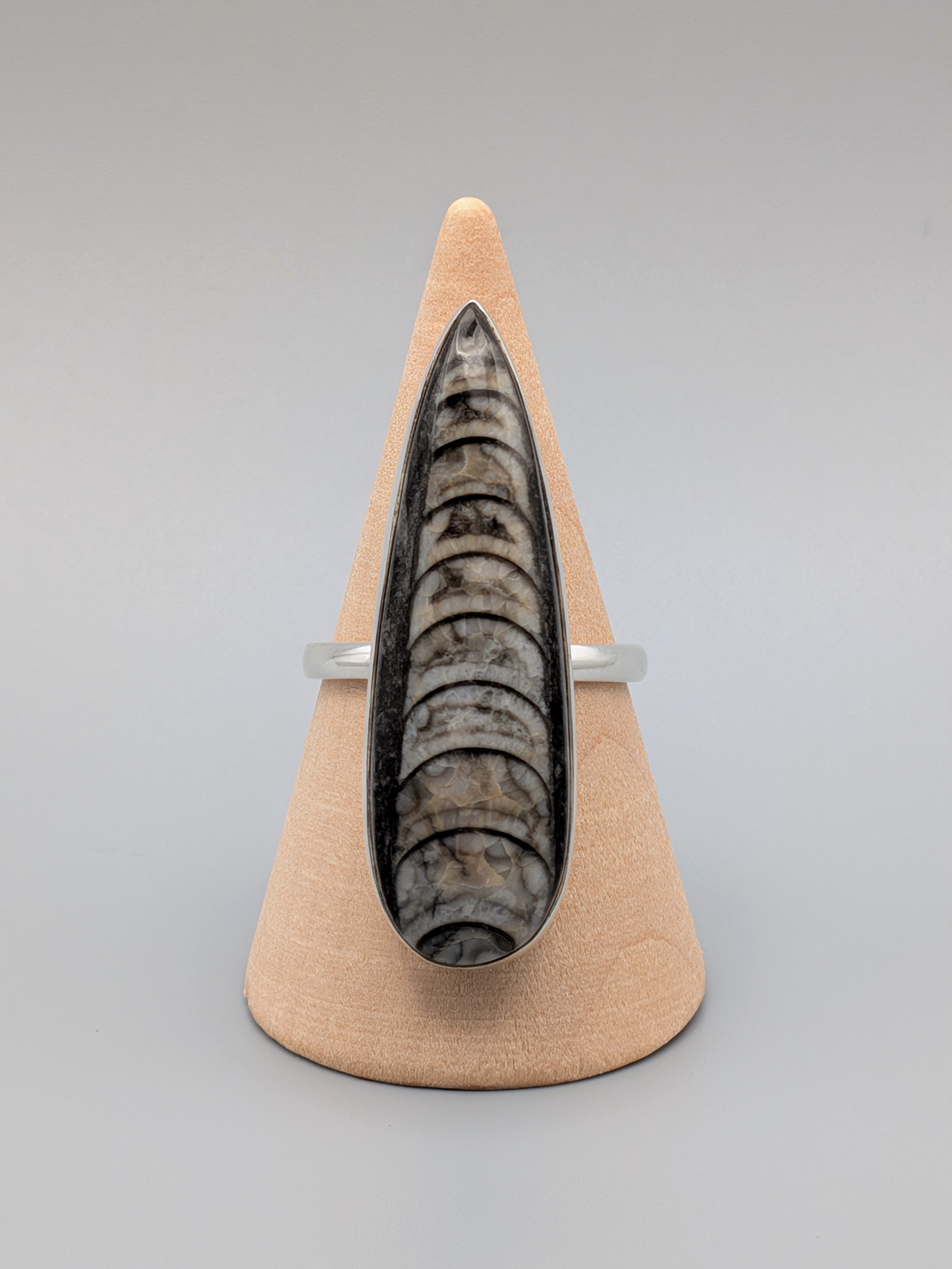 •ORTHOCERAS - TEARDROP• simple bezel silver ring (size 10)