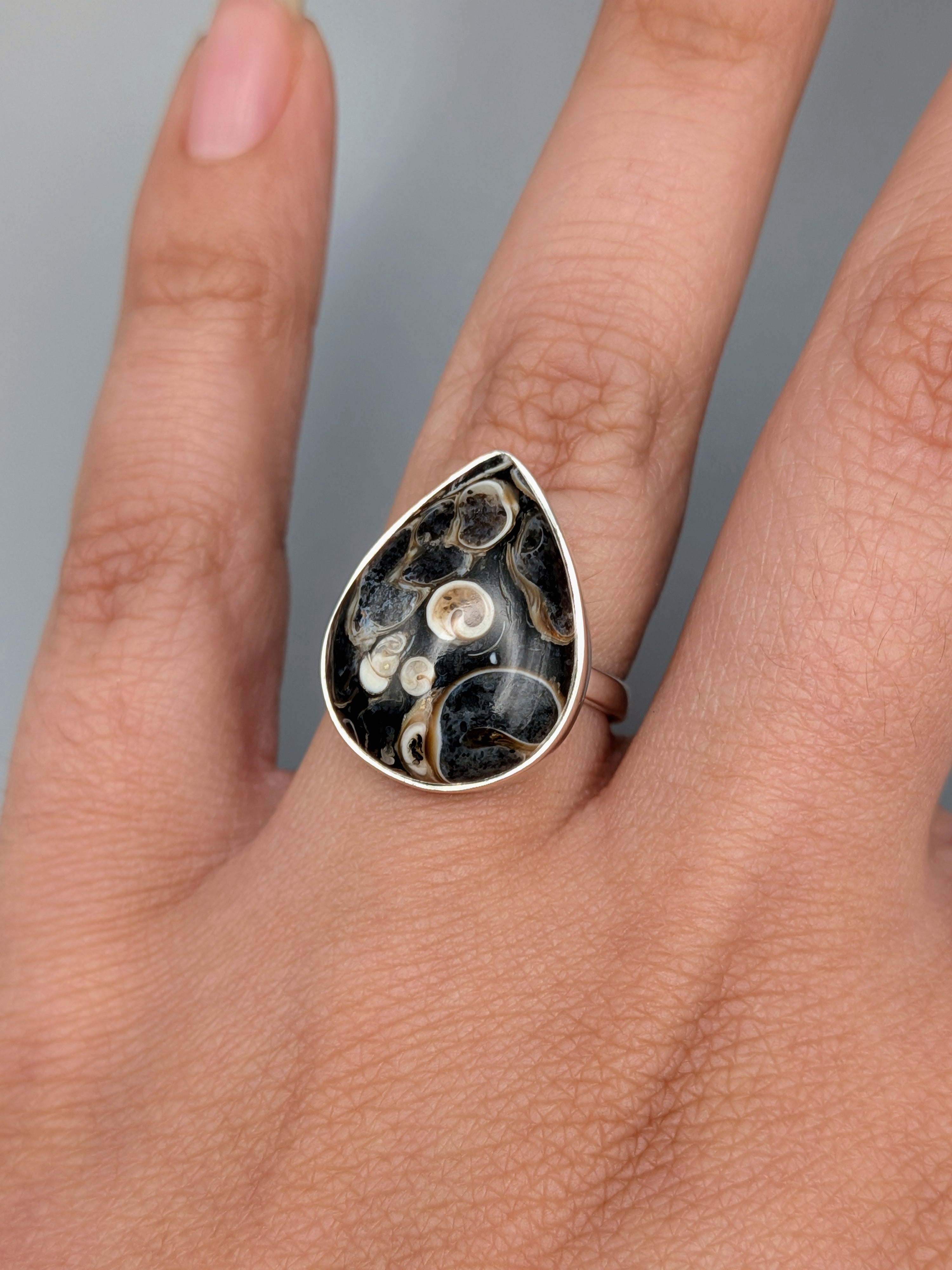 •TURRITELLA FOSSIL - TEAR - 1• simple bezel silver ring (size 6)