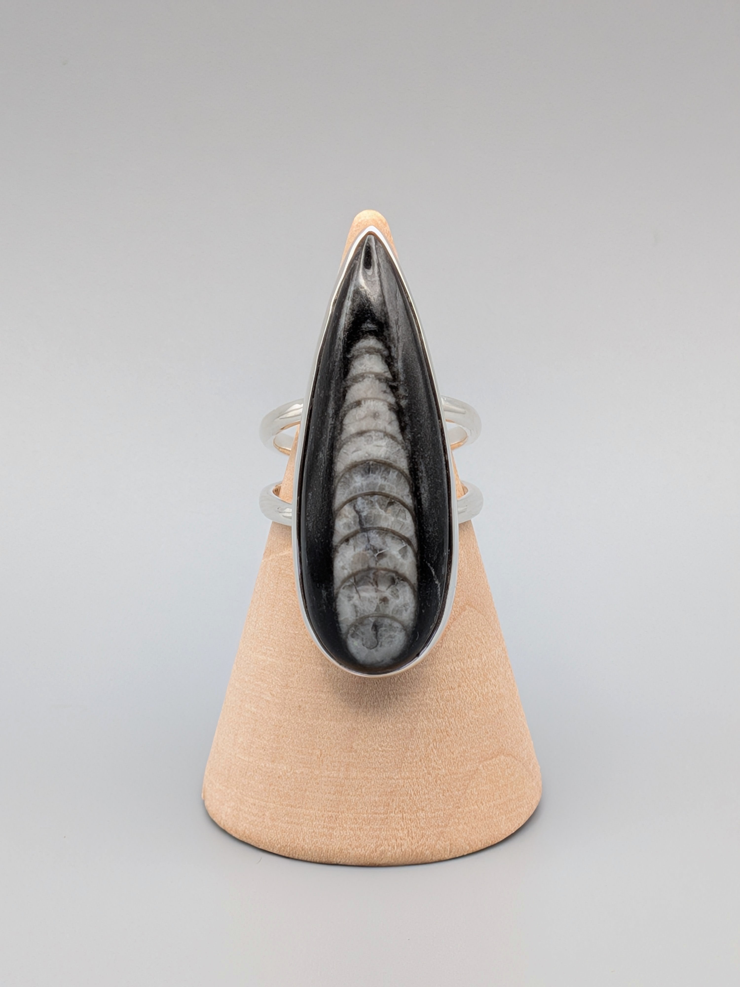 •ORTHOCERAS - TEARDROP• split band silver ring (size 6)