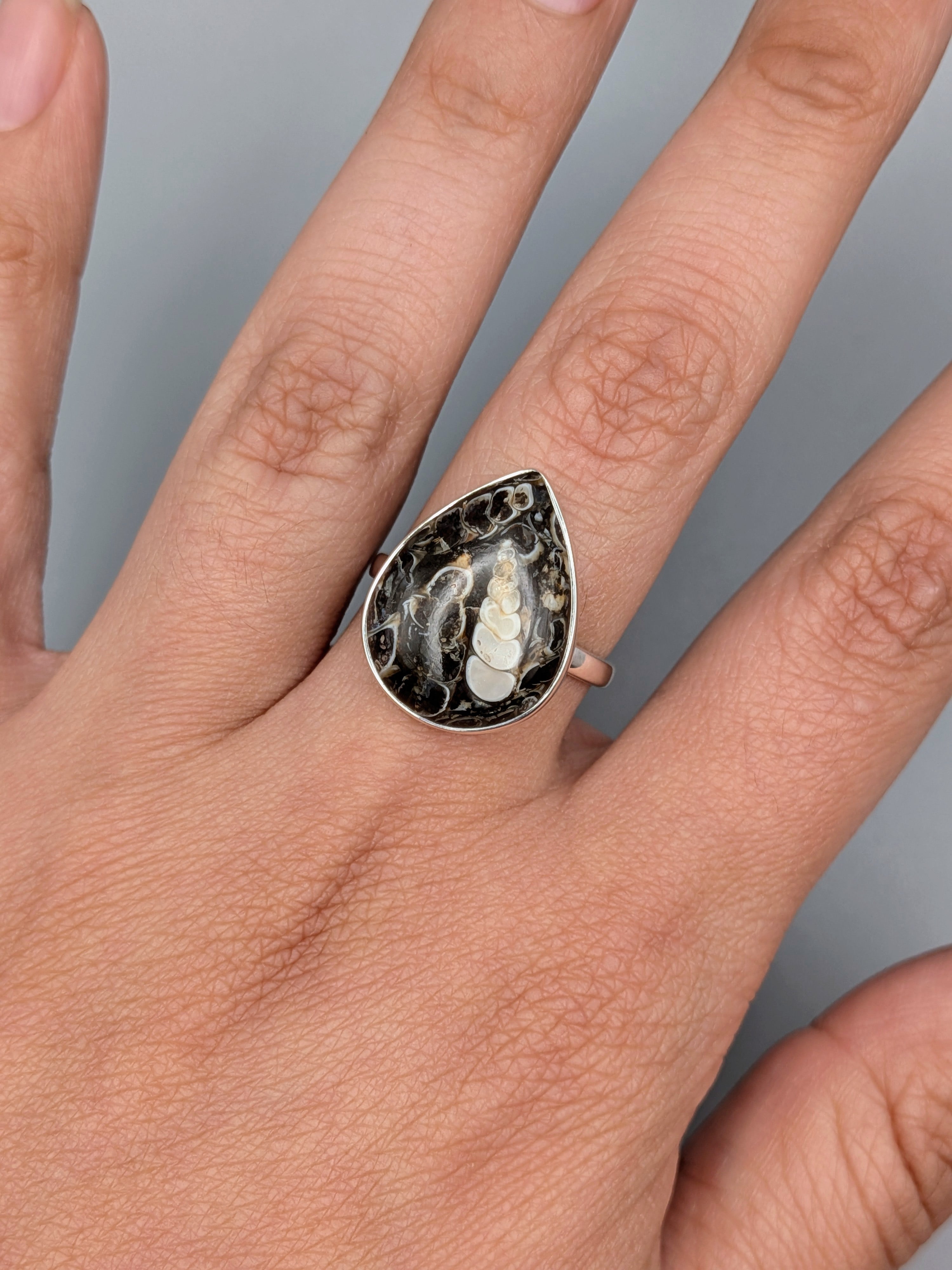 •TURRITELLA FOSSIL - TEAR• simple bezel silver ring (size 9)