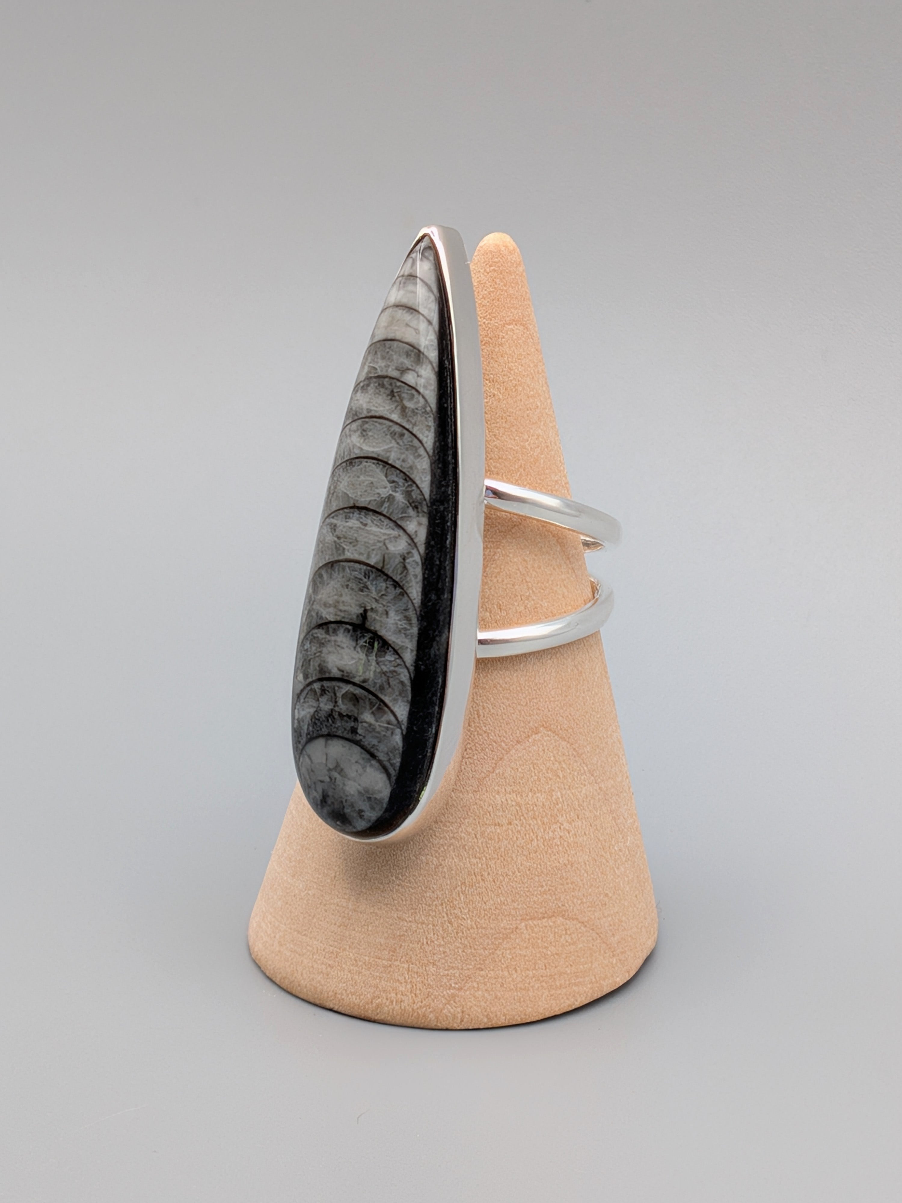 •ORTHOCERAS - TEARDROP• split band silver ring (size 7)