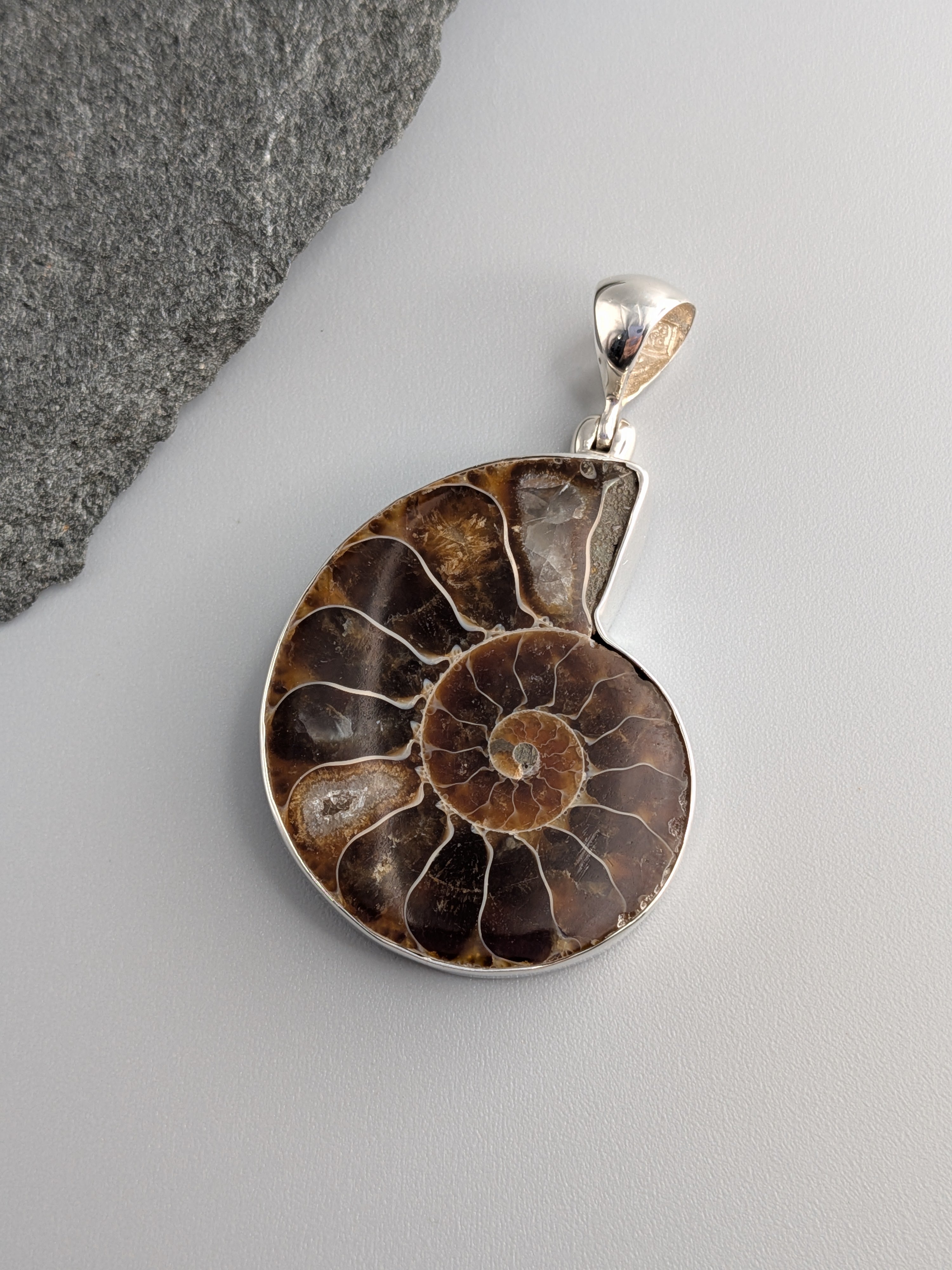 •AMMONITE - MEDIUM• sterling silver pendant