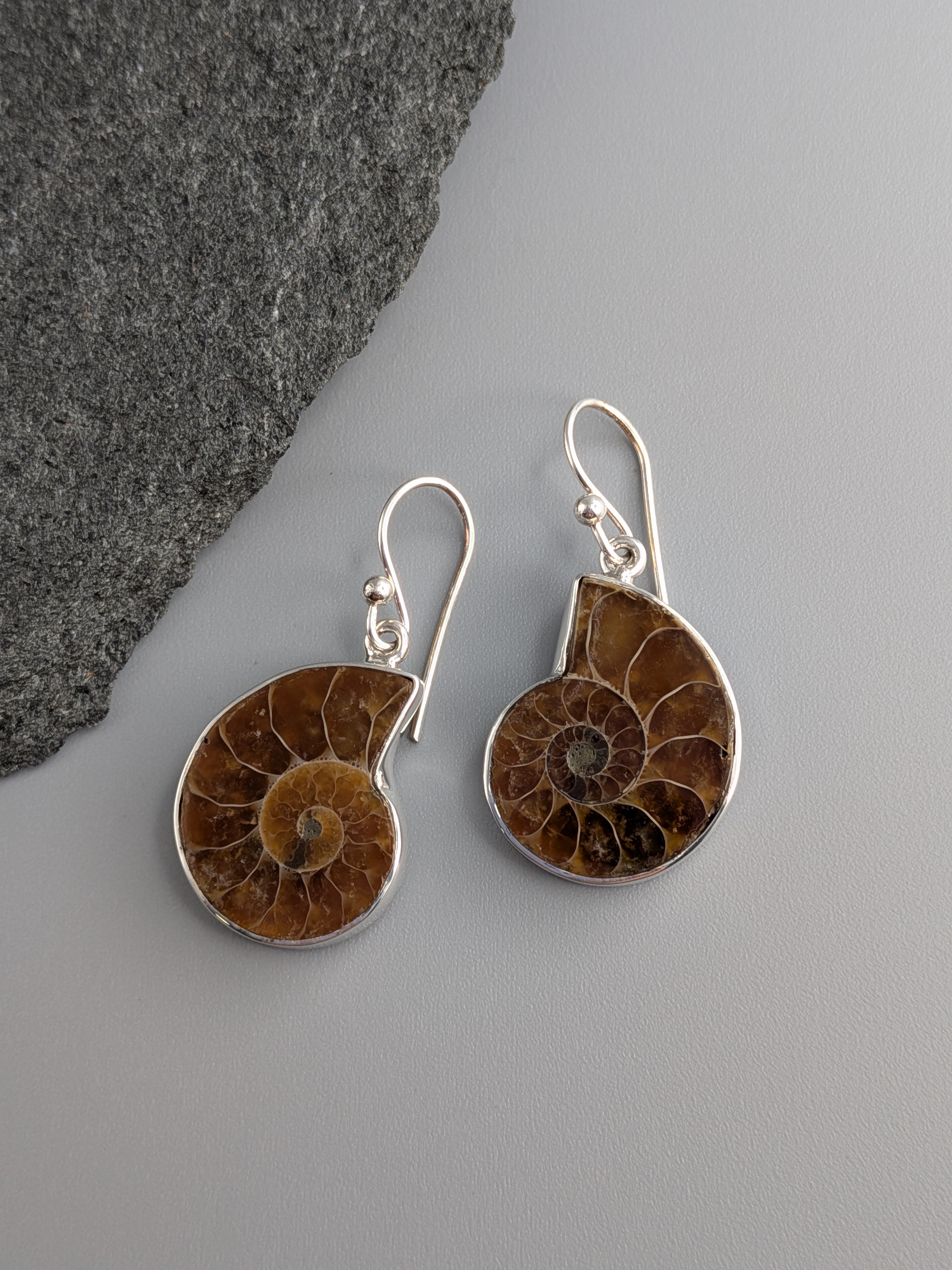 •AMMONITE• silver dangle earrings