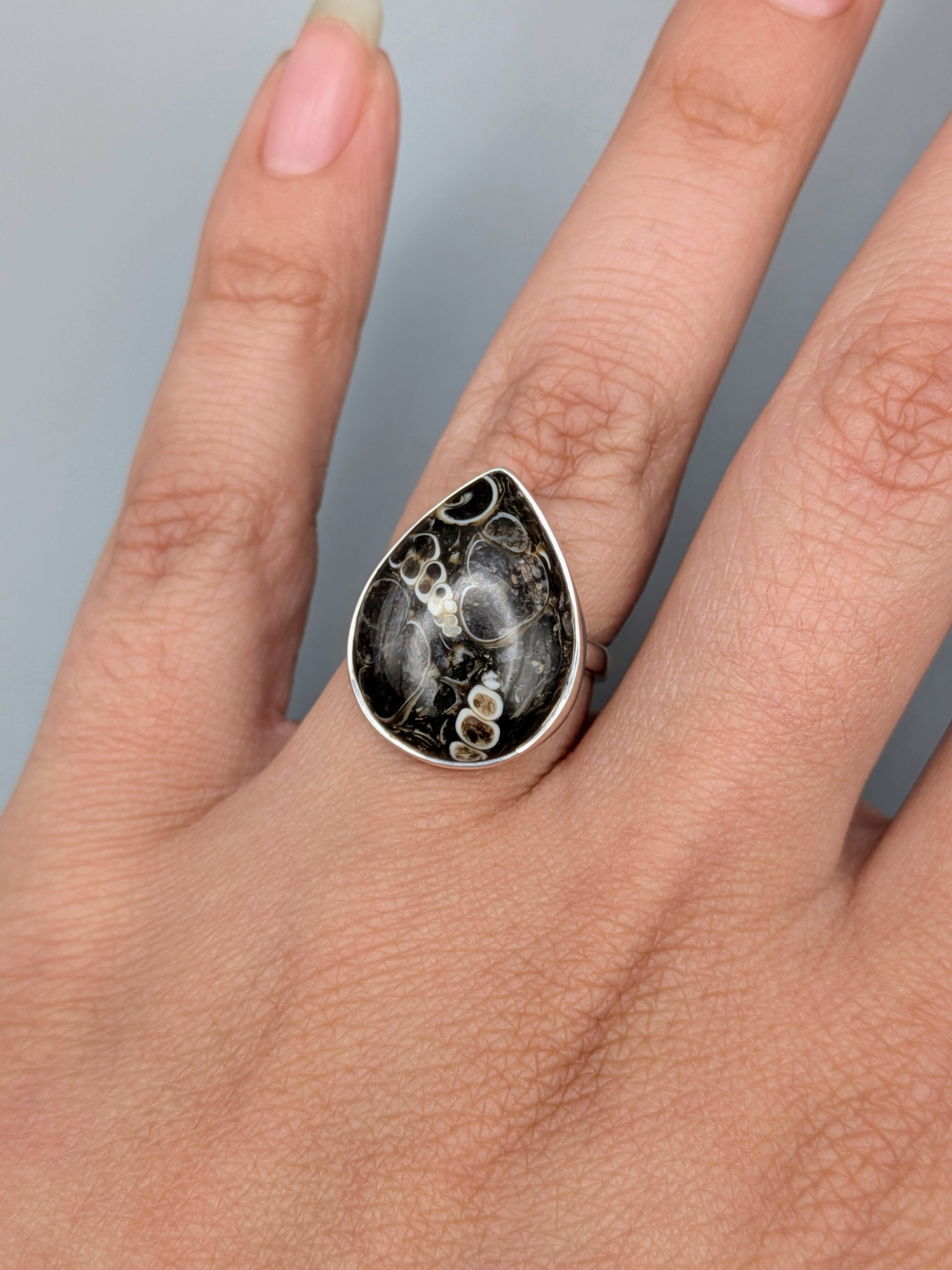 •TURRITELLA FOSSIL - TEAR - 2• simple bezel silver ring (size 6)