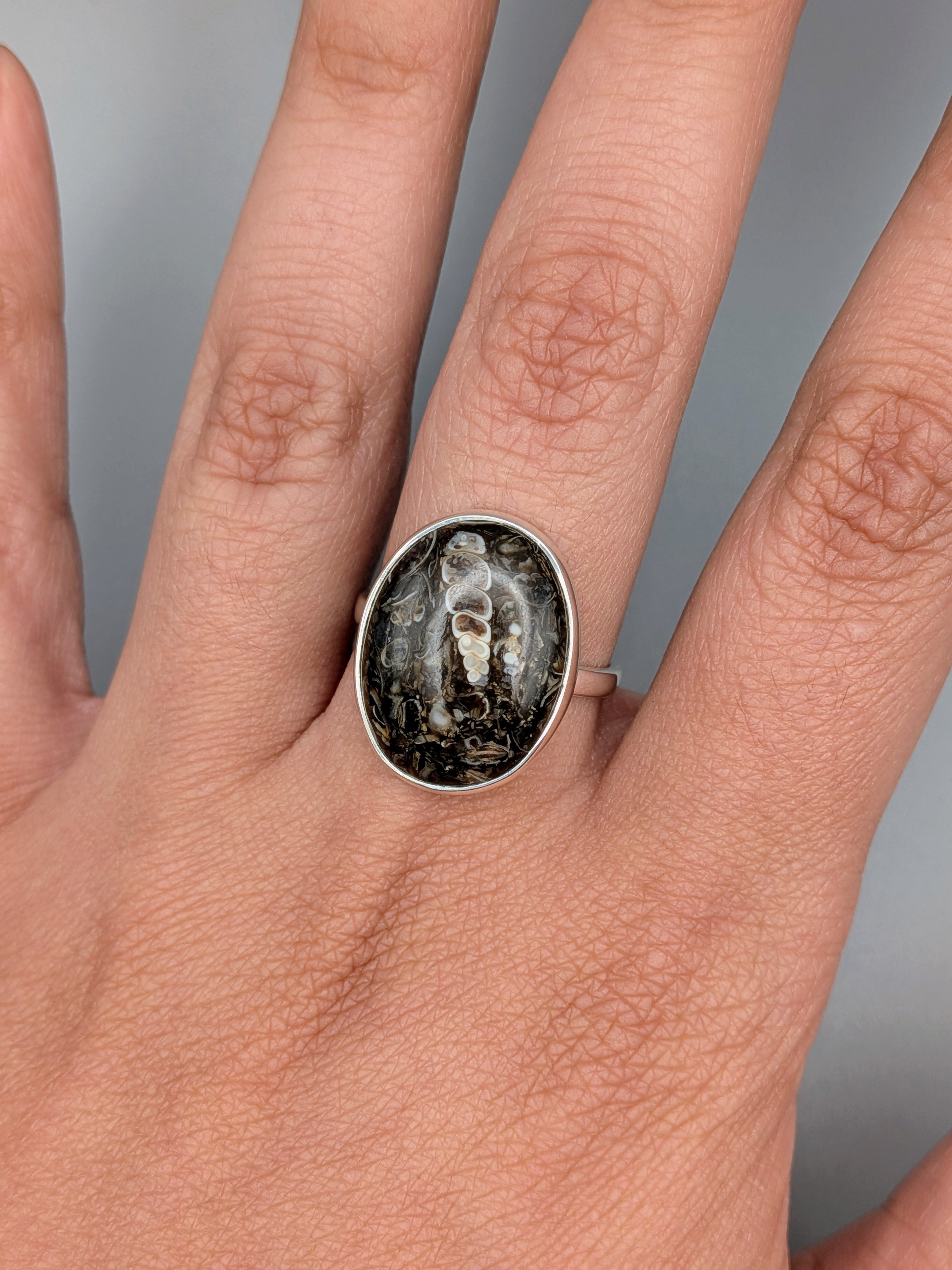 •TURRITELLA FOSSIL - OVAL• simple bezel silver ring (size 9)