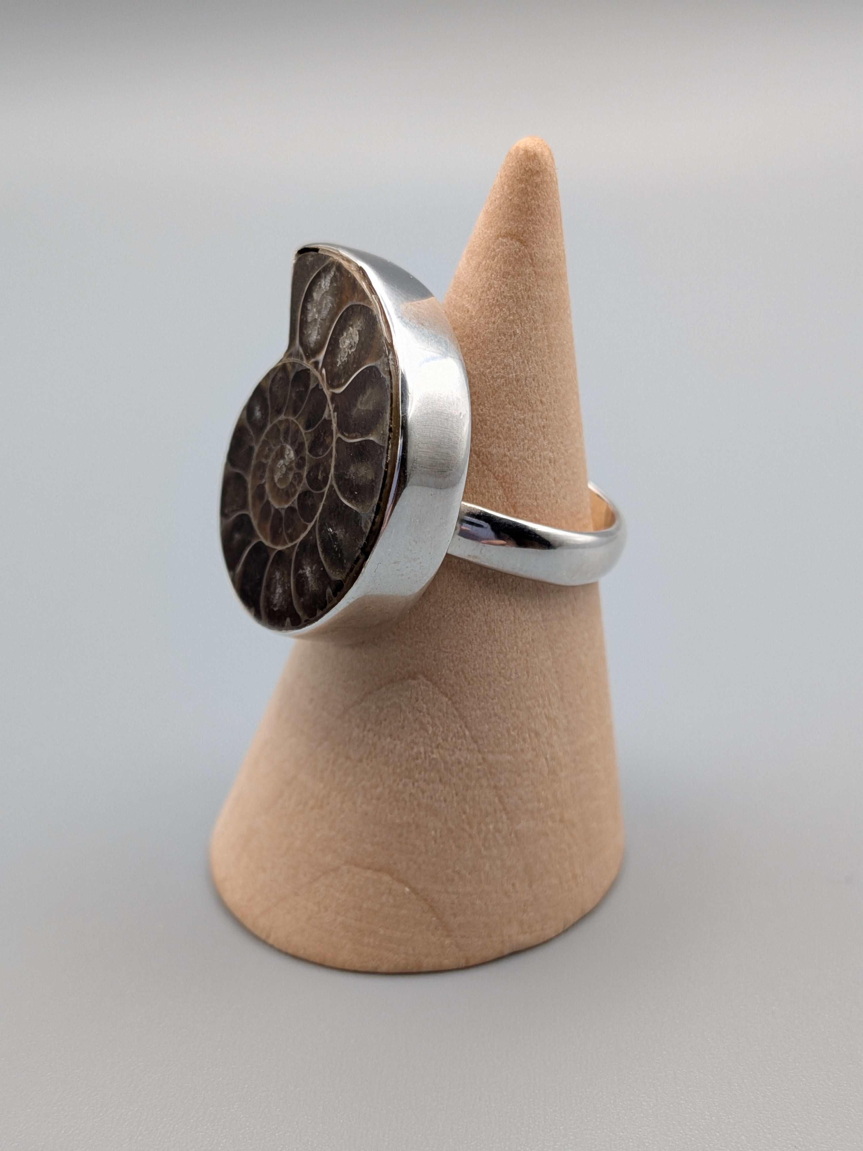 •AMMONITE• simple bezel silver ring (size 6.25)