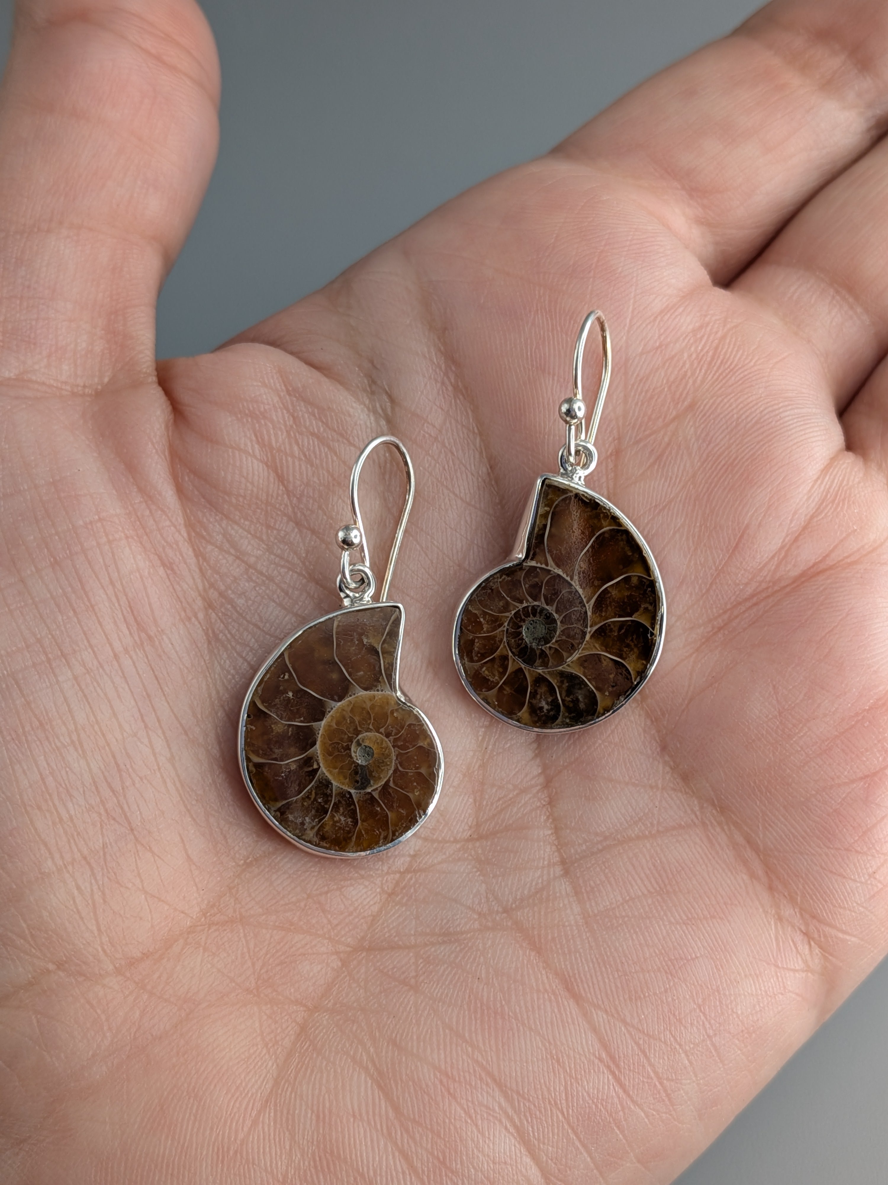 •AMMONITE• silver dangle earrings