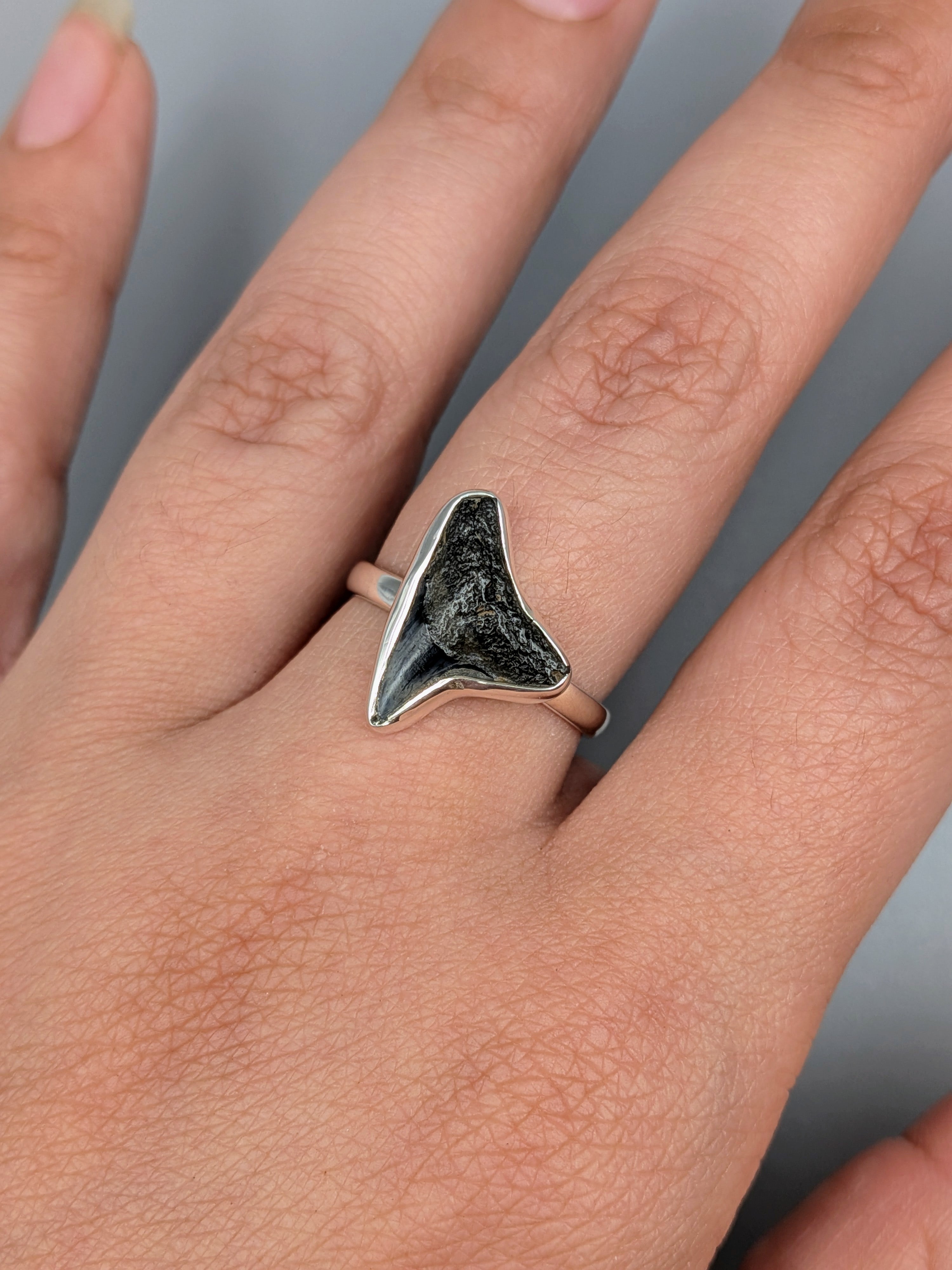 •FOSSILIZED SHARK TOOTH• simple bezel silver ring (size 8)