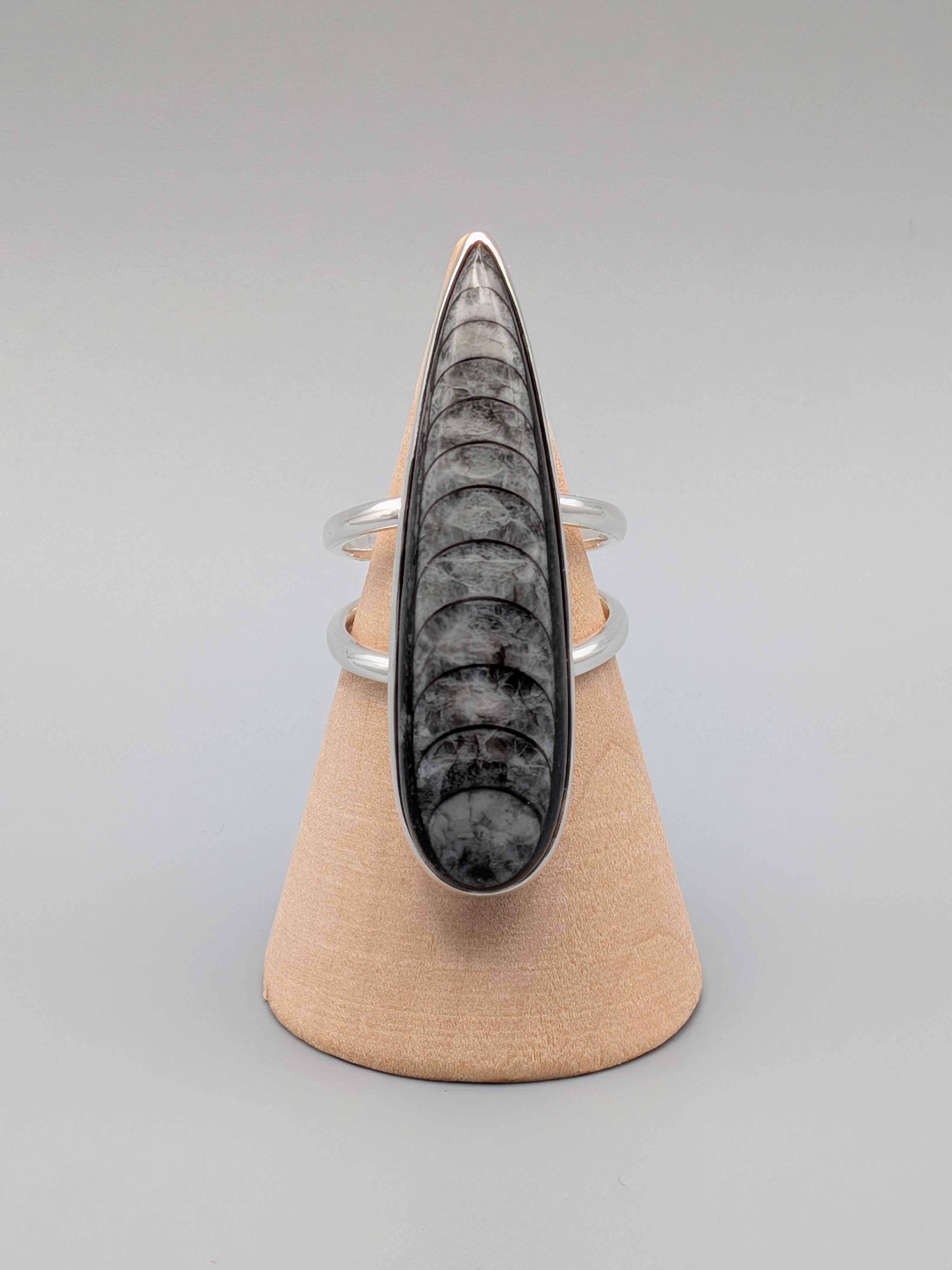 •ORTHOCERAS - TEARDROP• split band silver ring (size 7)