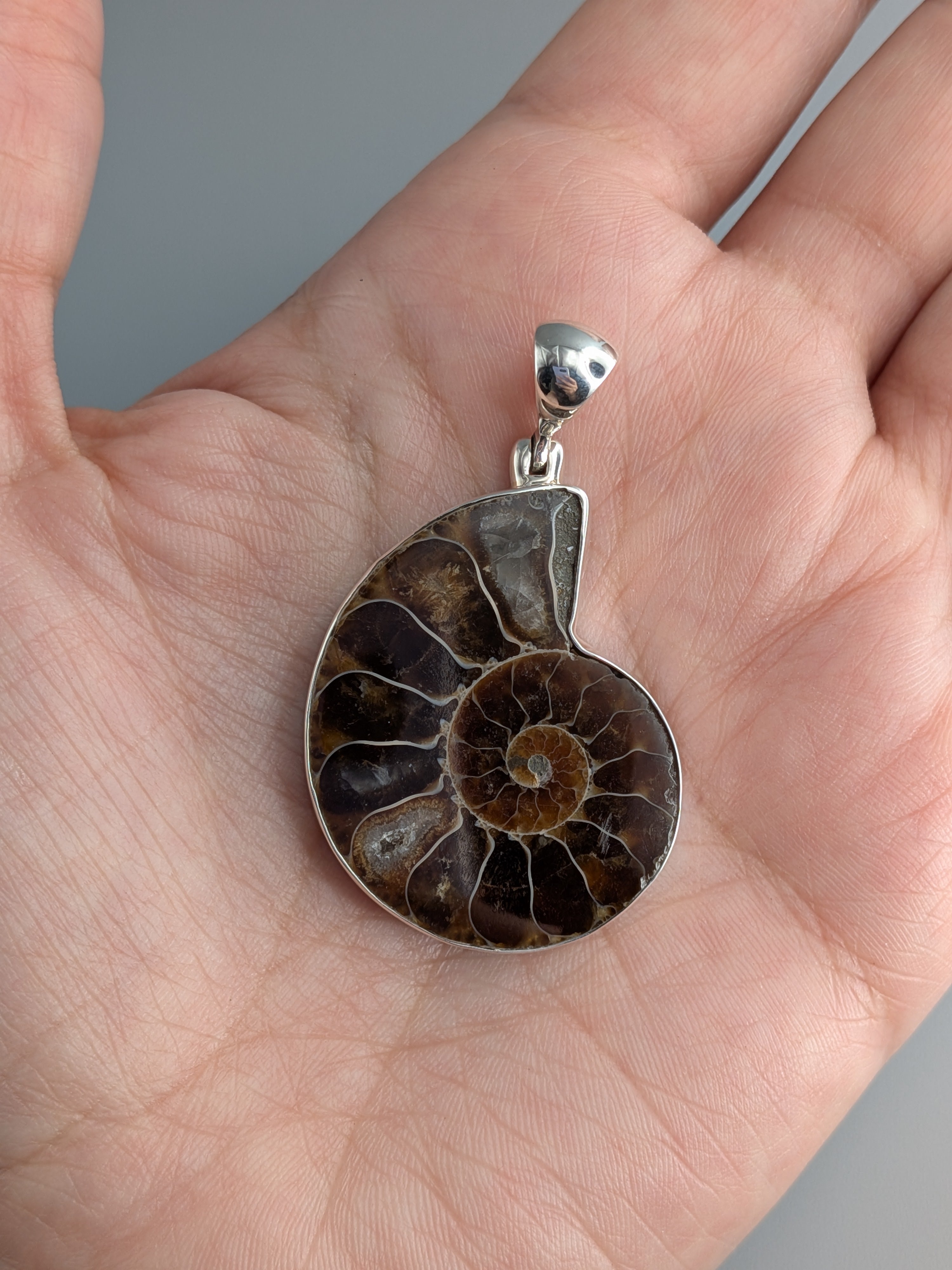 •AMMONITE - MEDIUM• sterling silver pendant