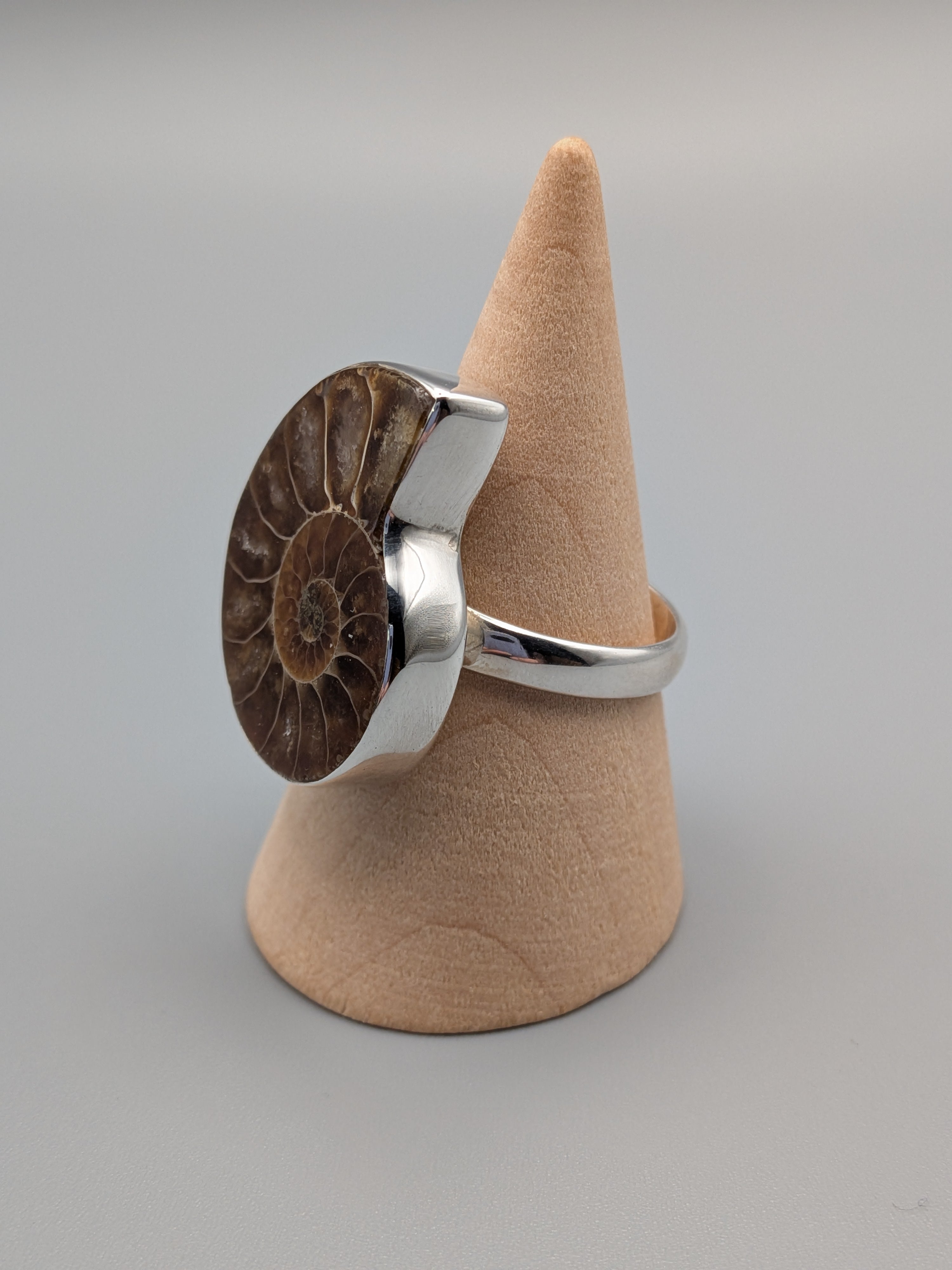•AMMONITE• simple bezel silver ring (size 10)