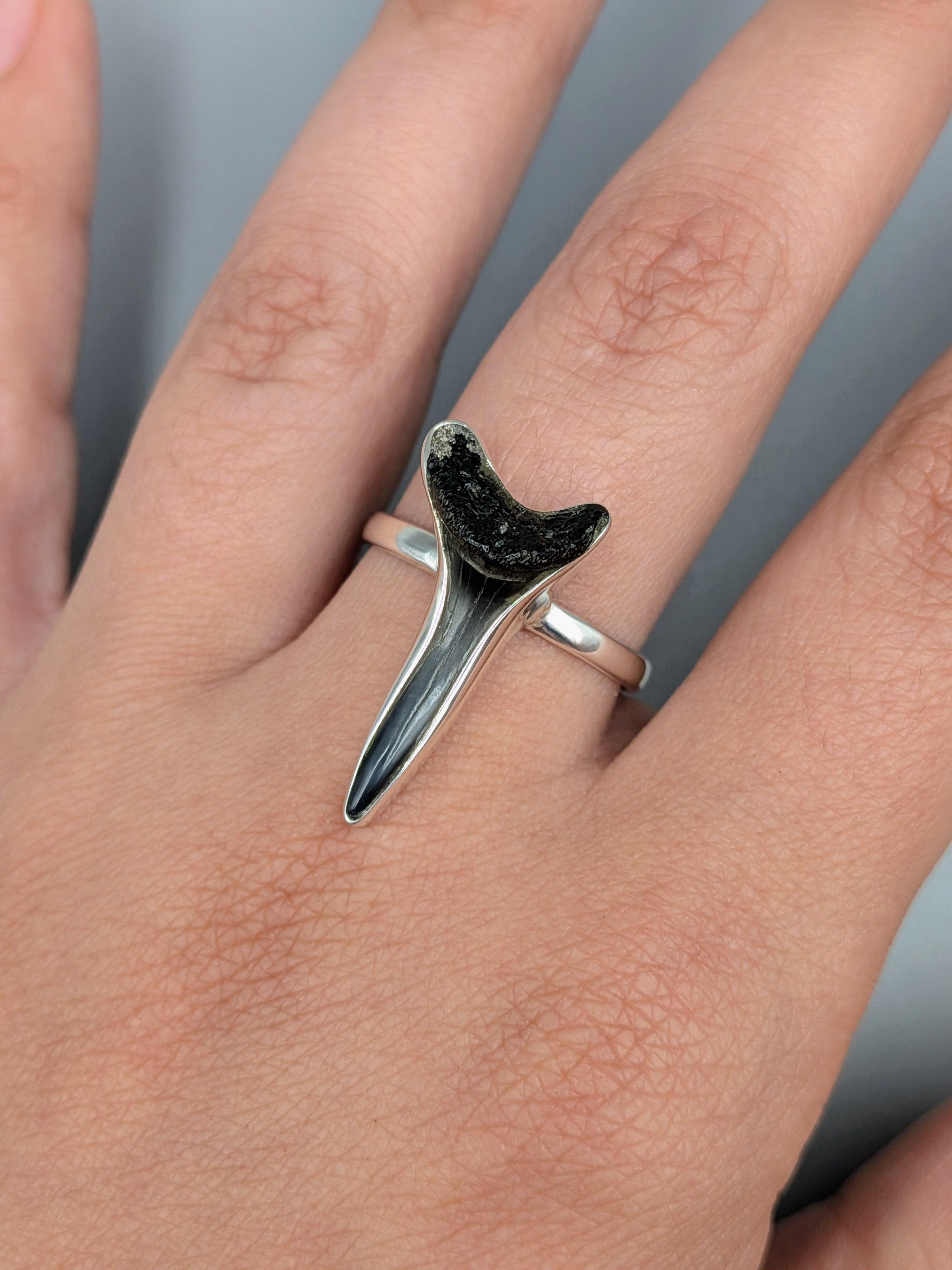 •FOSSILIZED SHARK TOOTH• simple bezel silver ring (size 10)