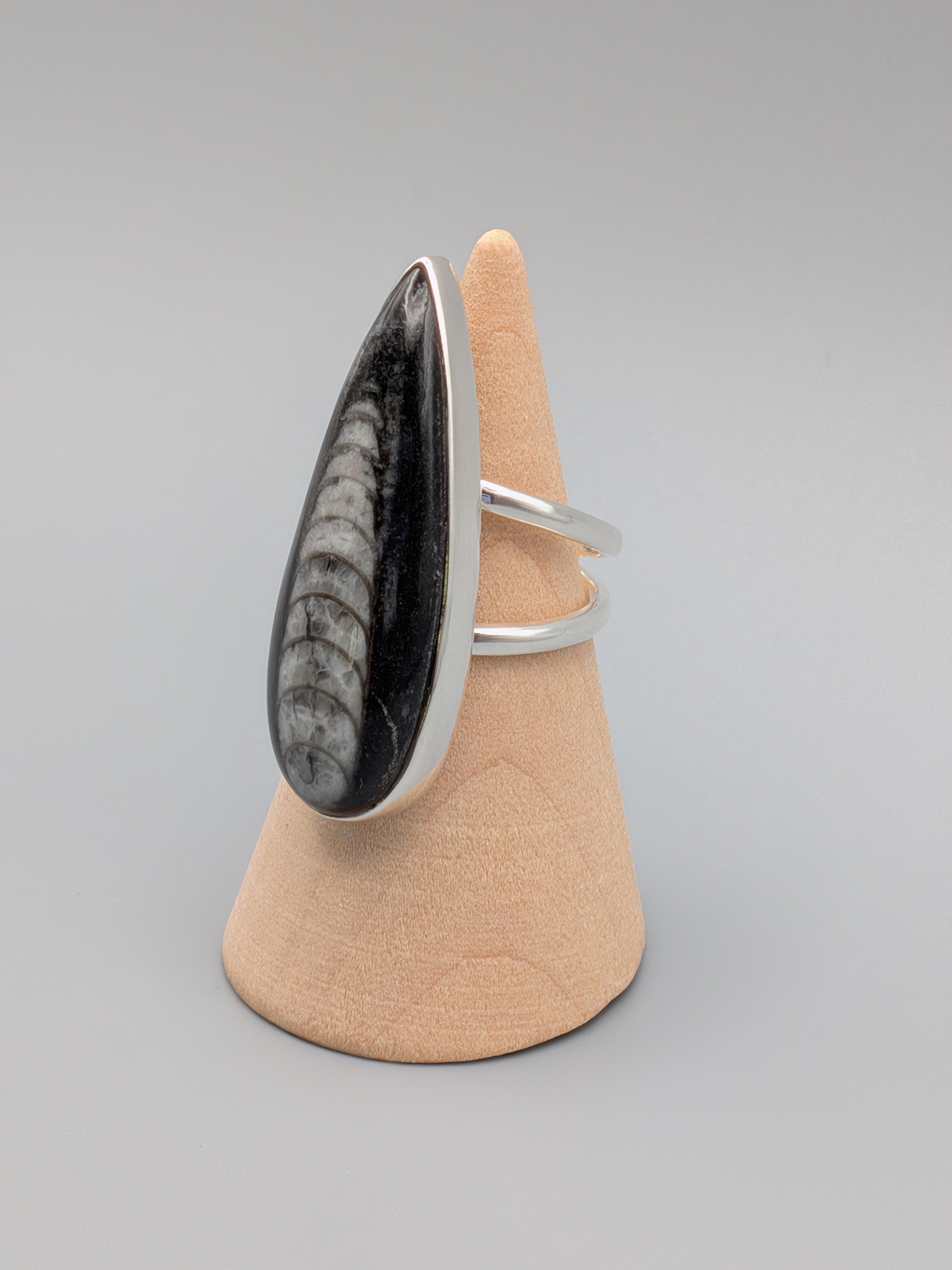 •ORTHOCERAS - TEARDROP• split band silver ring (size 6)