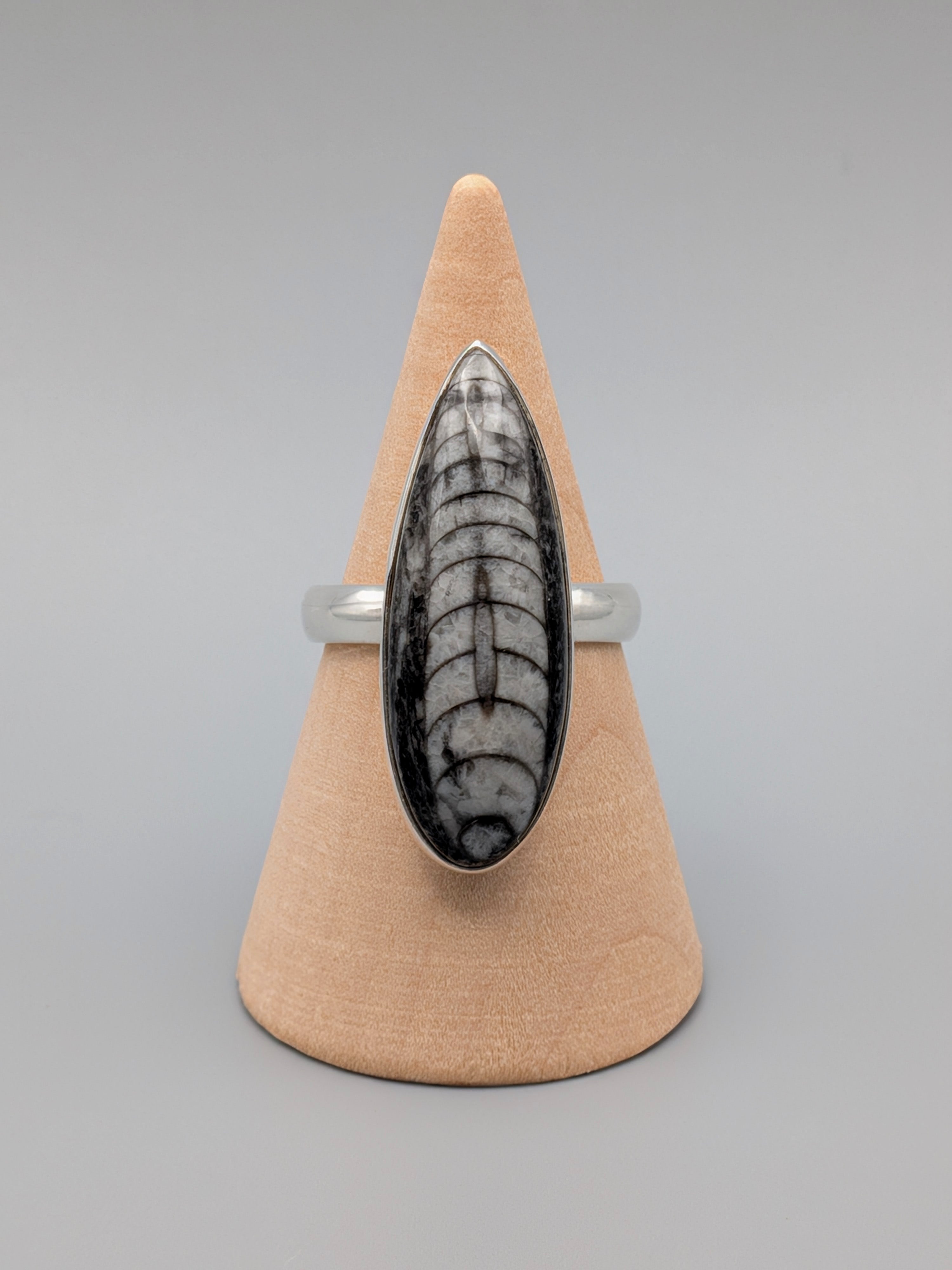 •ORTHOCERAS - TEARDROP• simple bezel silver ring (size 9)