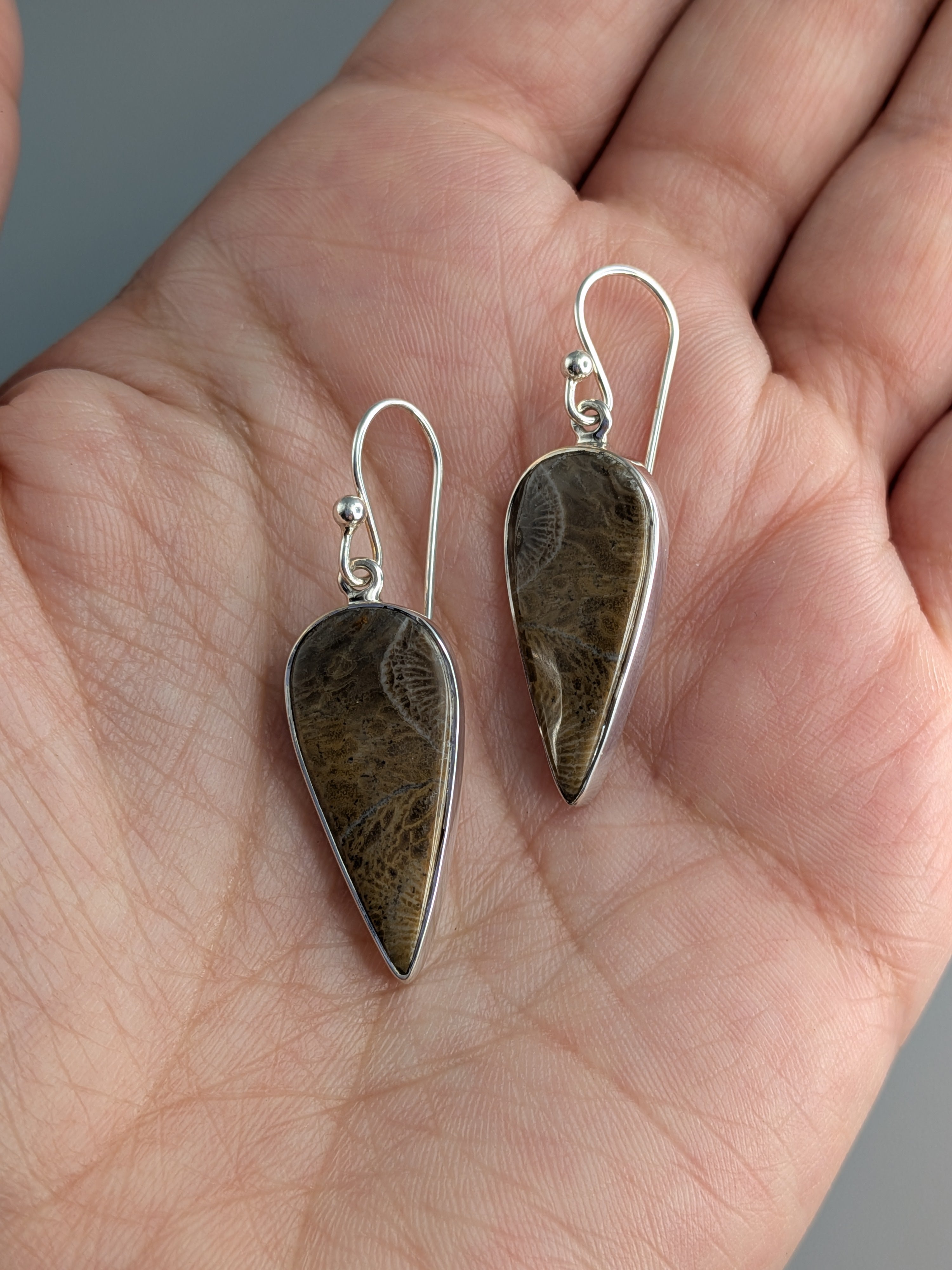 •FOSSILIZED CORAL - SPEAR TEAR• silver dangle earrings